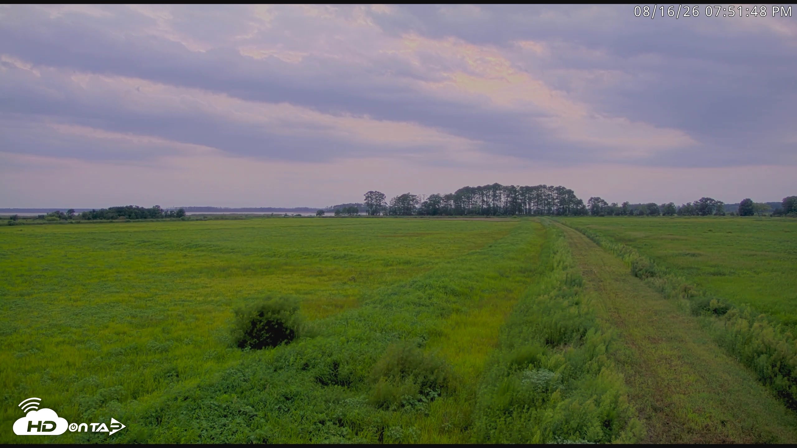 Snapshot of Blackwater Wildlife Refuge Waterfowl Live Webcam taken Aug 16, 2026, 7:52pm EDT