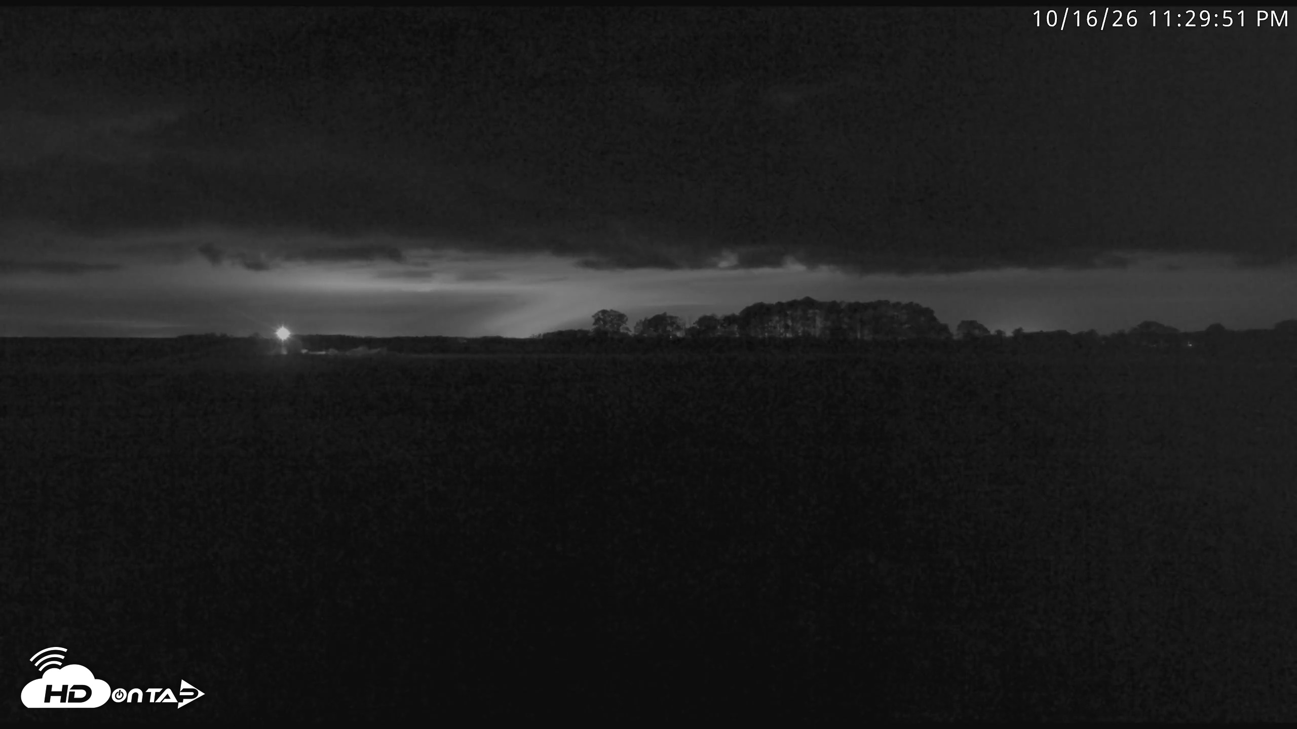 Snapshot of Blackwater Wildlife Refuge Waterfowl Live Webcam taken Oct 16, 2026, 11:30pm EDT