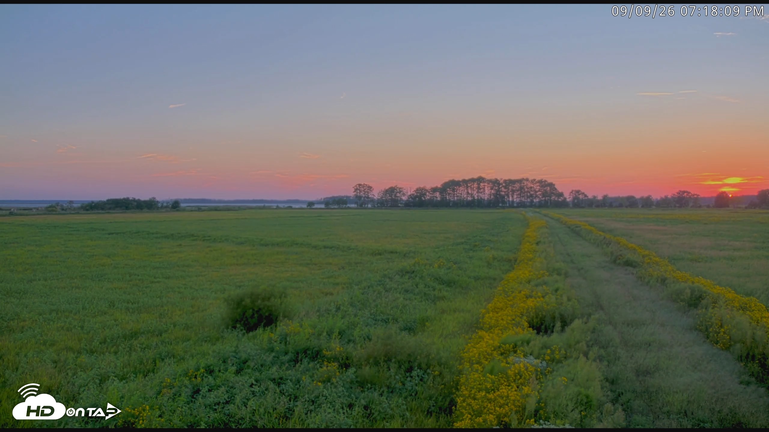 Snapshot of Blackwater Wildlife Refuge Waterfowl Live Webcam taken Sep 9, 2026, 7:18pm EDT