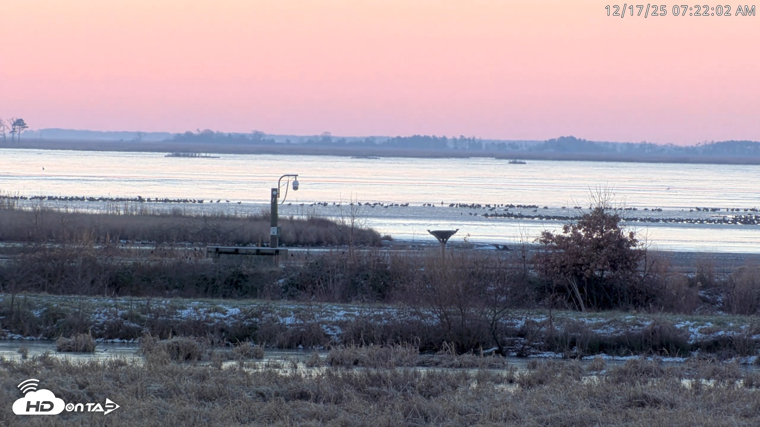 Snapshot of Blackwater Wildlife Refuge Waterfowl Live Webcam taken Dec 17, 2025, 7:20am EST