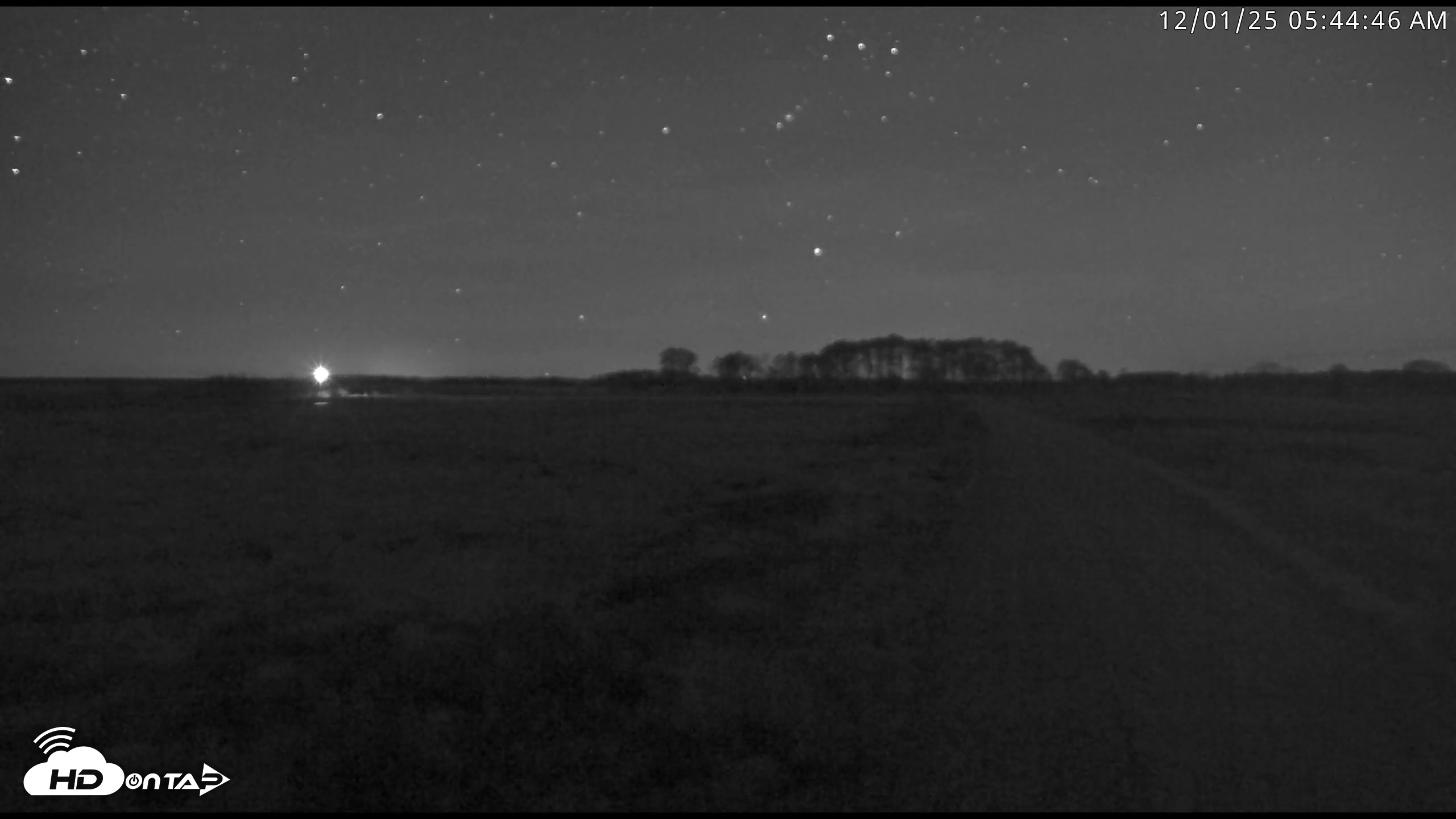 Snapshot of Blackwater Wildlife Refuge Waterfowl Live Webcam taken Dec 1, 2025, 5:43am EST