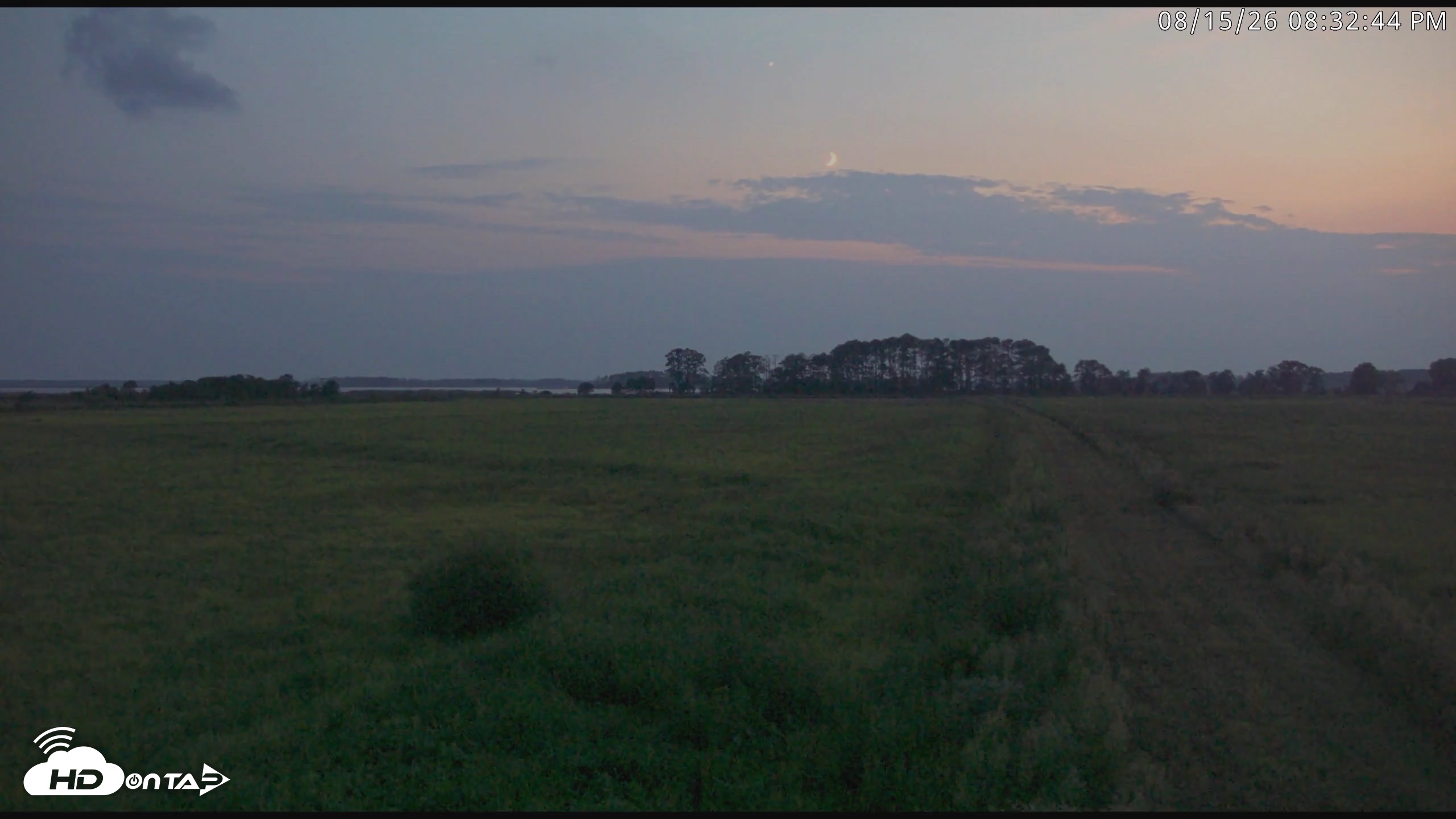 Snapshot of Blackwater Wildlife Refuge Waterfowl Live Webcam taken Aug 15, 2026, 8:33pm EDT