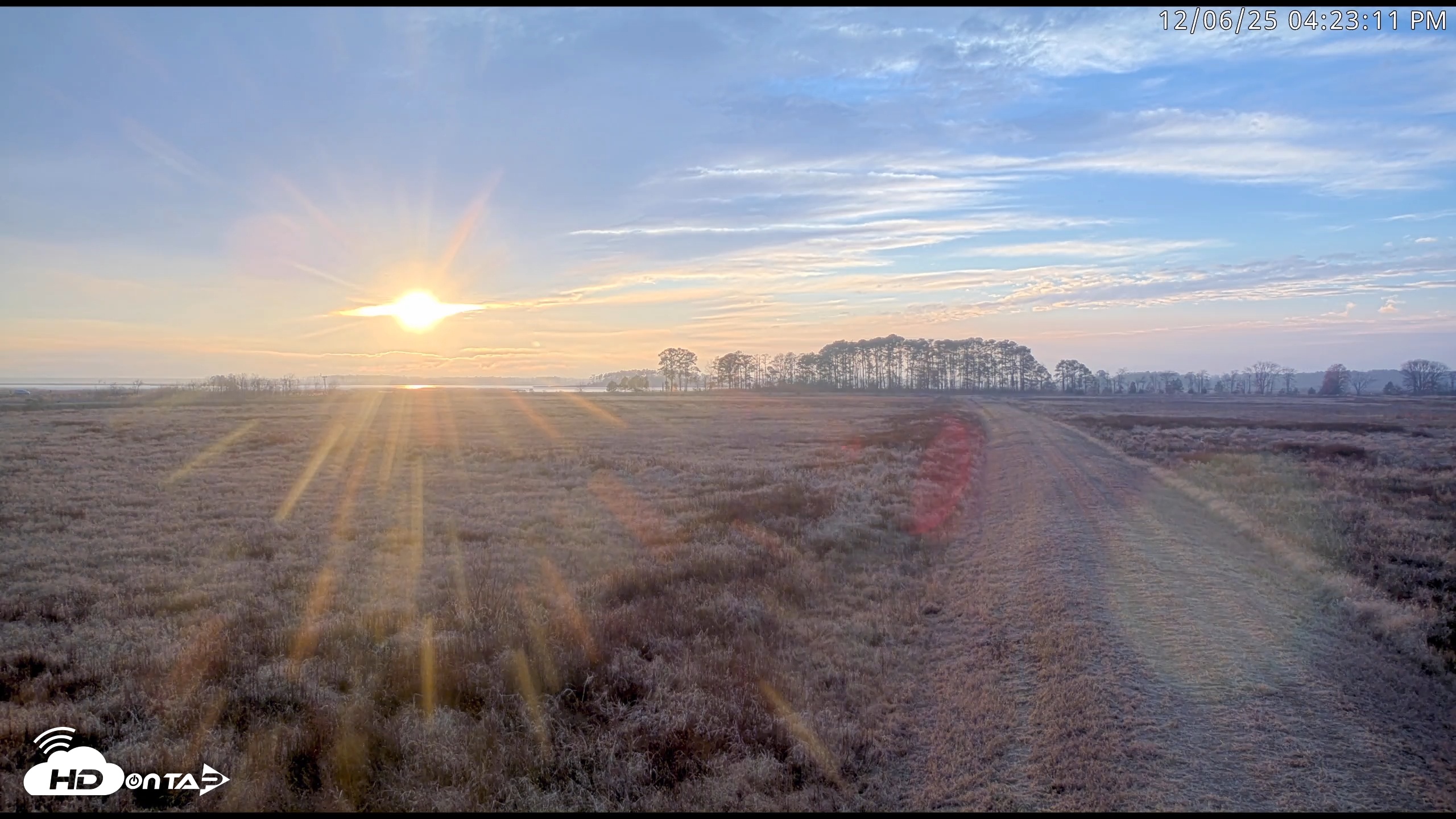 Snapshot of Blackwater Wildlife Refuge Waterfowl Live Webcam taken Dec 6, 2025, 4:21pm EST