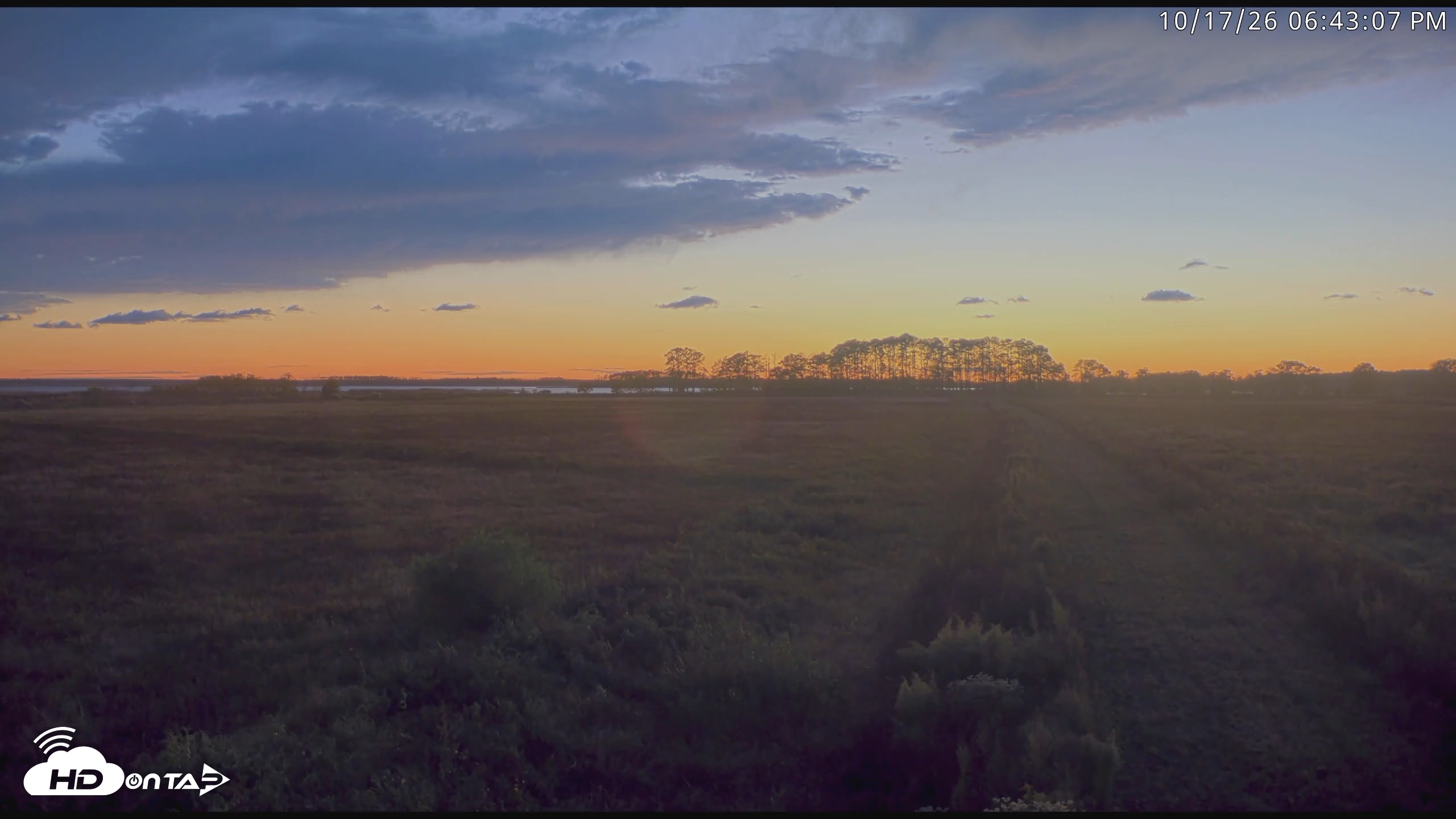 Snapshot of Blackwater Wildlife Refuge Waterfowl Live Webcam taken Oct 17, 2026, 6:43pm EDT