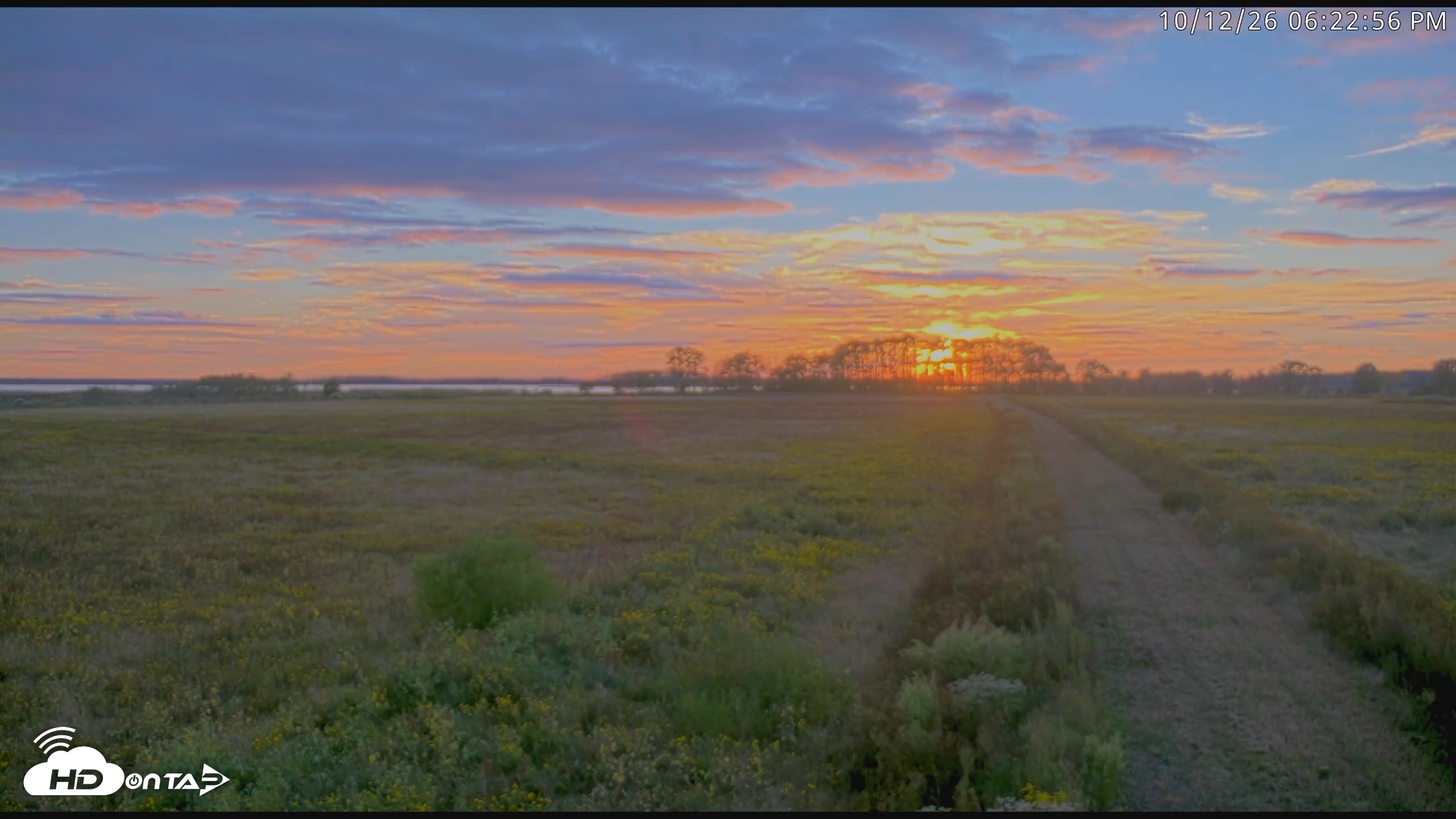 Snapshot of Blackwater Wildlife Refuge Waterfowl Live Webcam taken Oct 12, 2026, 6:23pm EDT