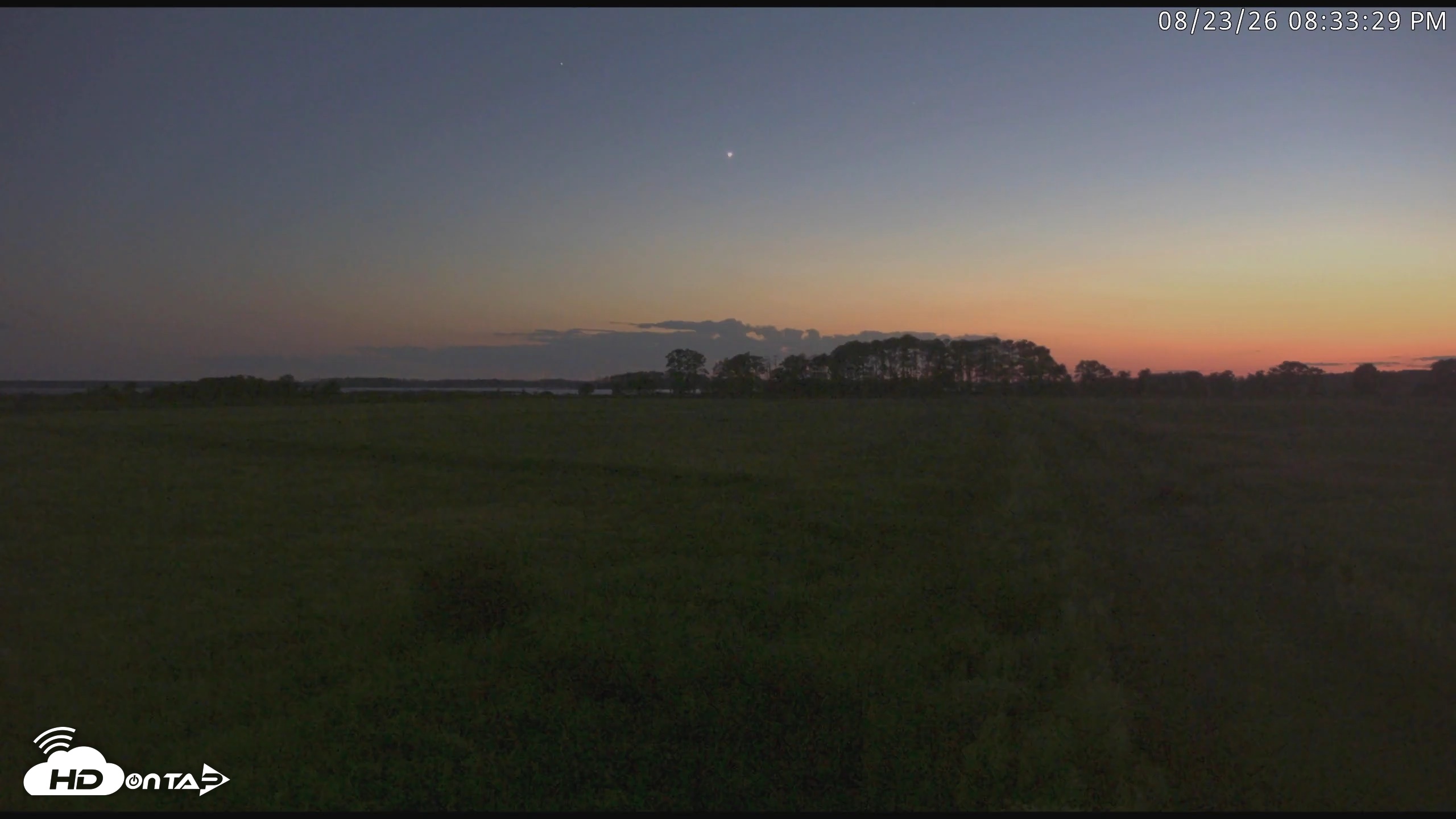 Snapshot of Blackwater Wildlife Refuge Waterfowl Live Webcam taken Aug 23, 2026, 8:34pm EDT