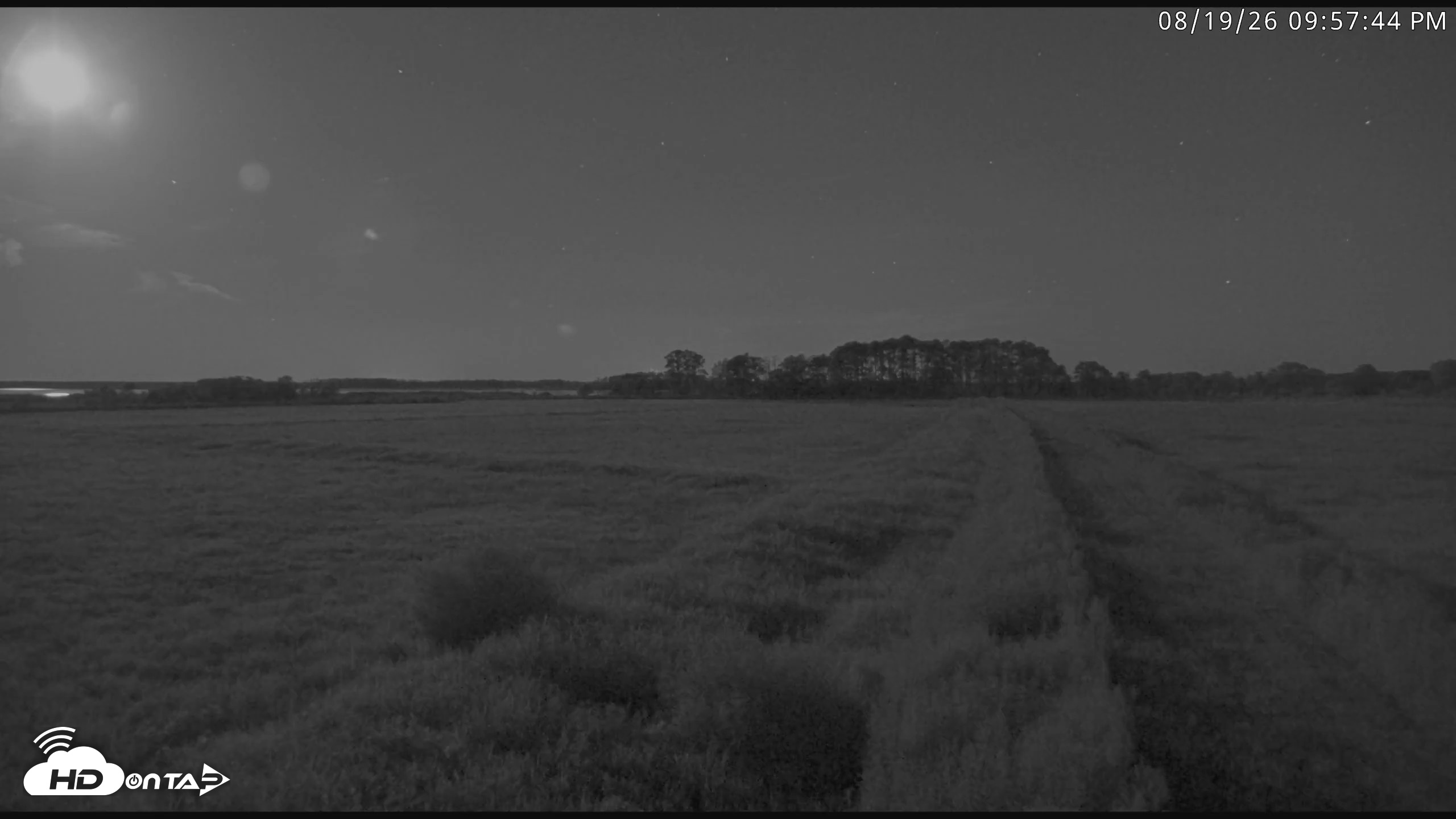 Snapshot of Blackwater Wildlife Refuge Waterfowl Live Webcam taken Aug 19, 2026, 9:58pm EDT