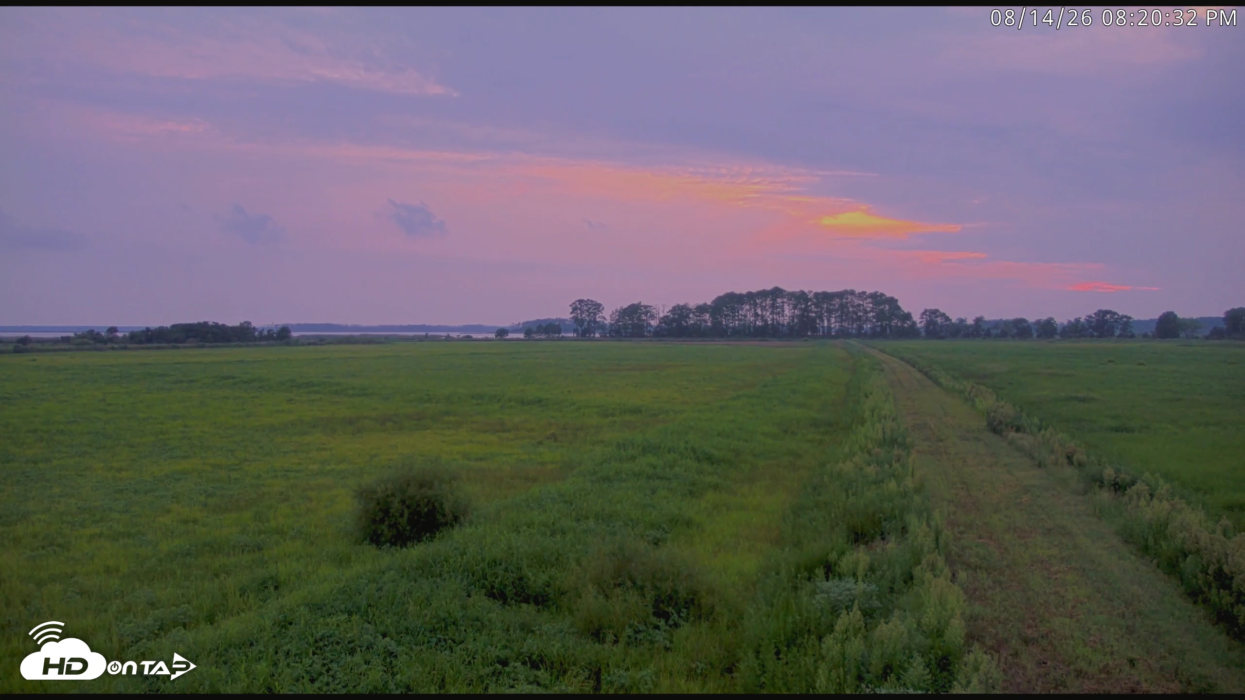 Snapshot of Blackwater Wildlife Refuge Waterfowl Live Webcam taken Aug 14, 2026, 8:21pm EDT