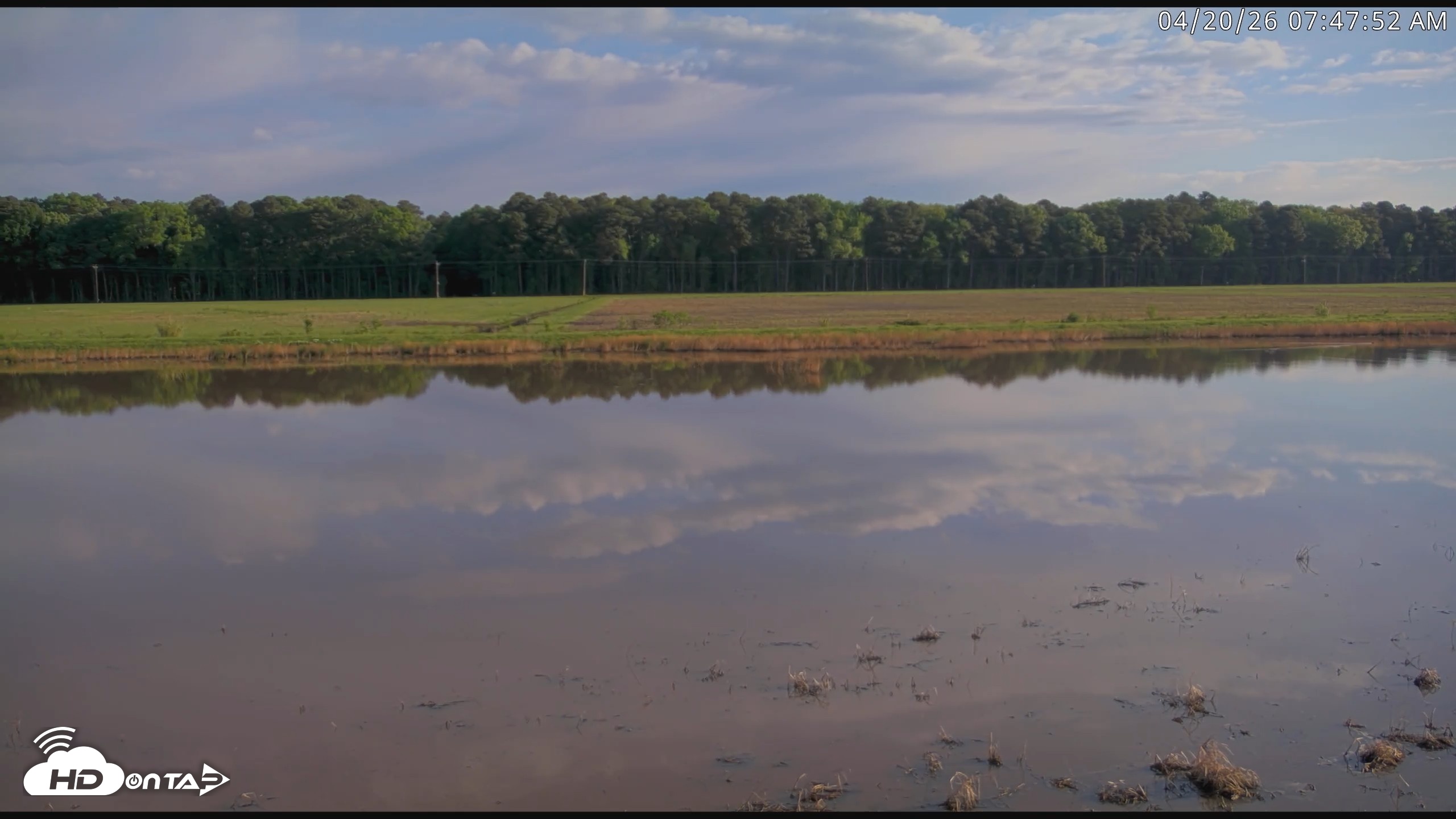 Snapshot of Blackwater Wildlife Refuge Waterfowl Live Webcam taken Apr 20, 2026, 7:48am EDT
