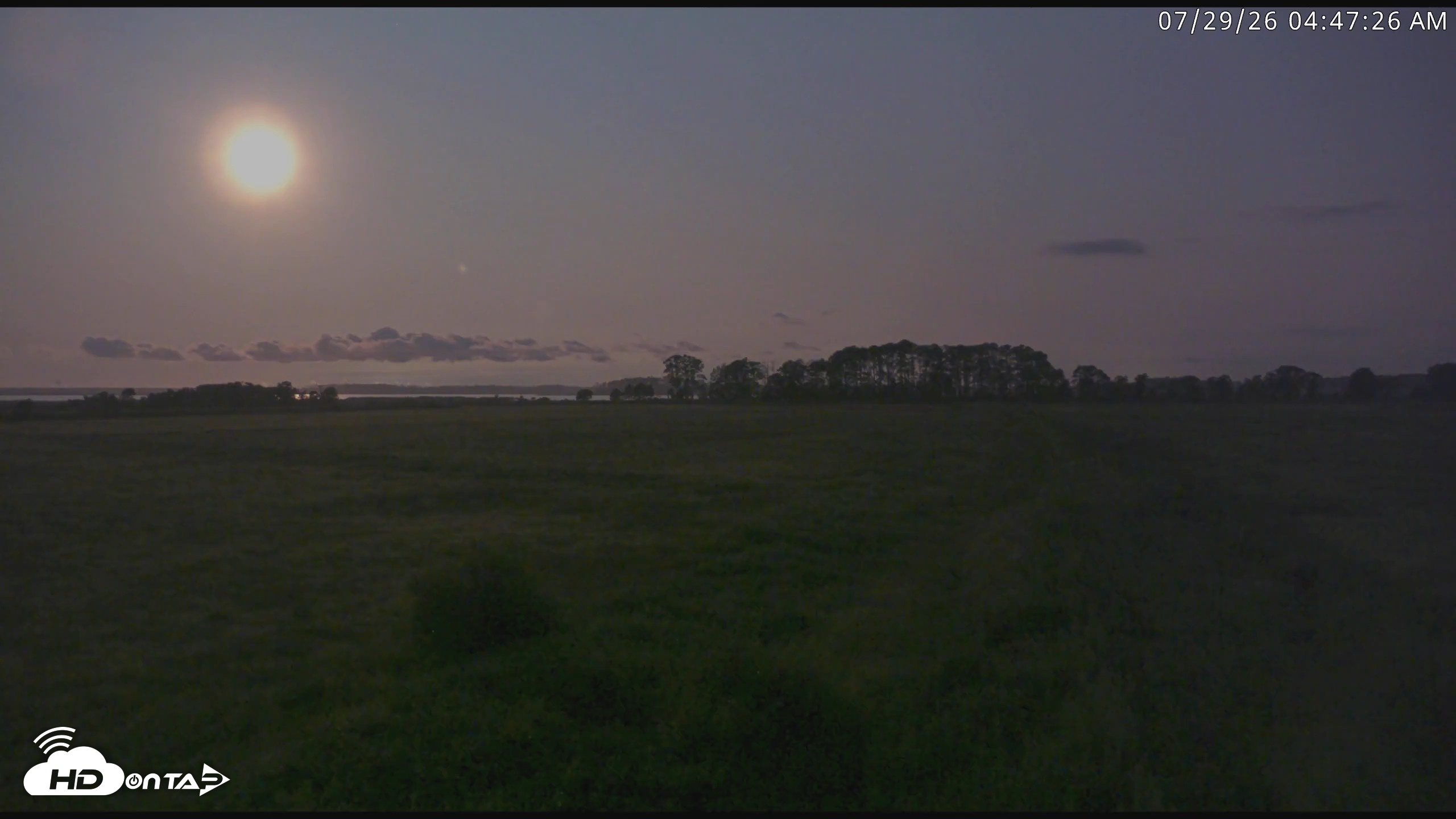 Snapshot of Blackwater Wildlife Refuge Waterfowl Live Webcam taken Jul 29, 2026, 4:48am EDT