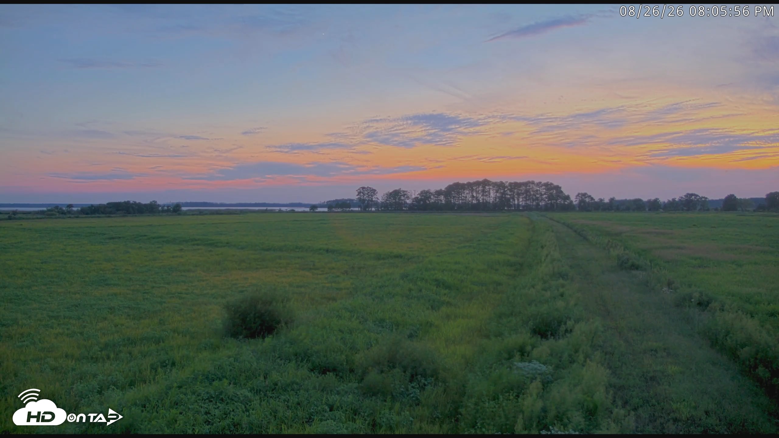 Snapshot of Blackwater Wildlife Refuge Waterfowl Live Webcam taken Aug 26, 2026, 8:06pm EDT