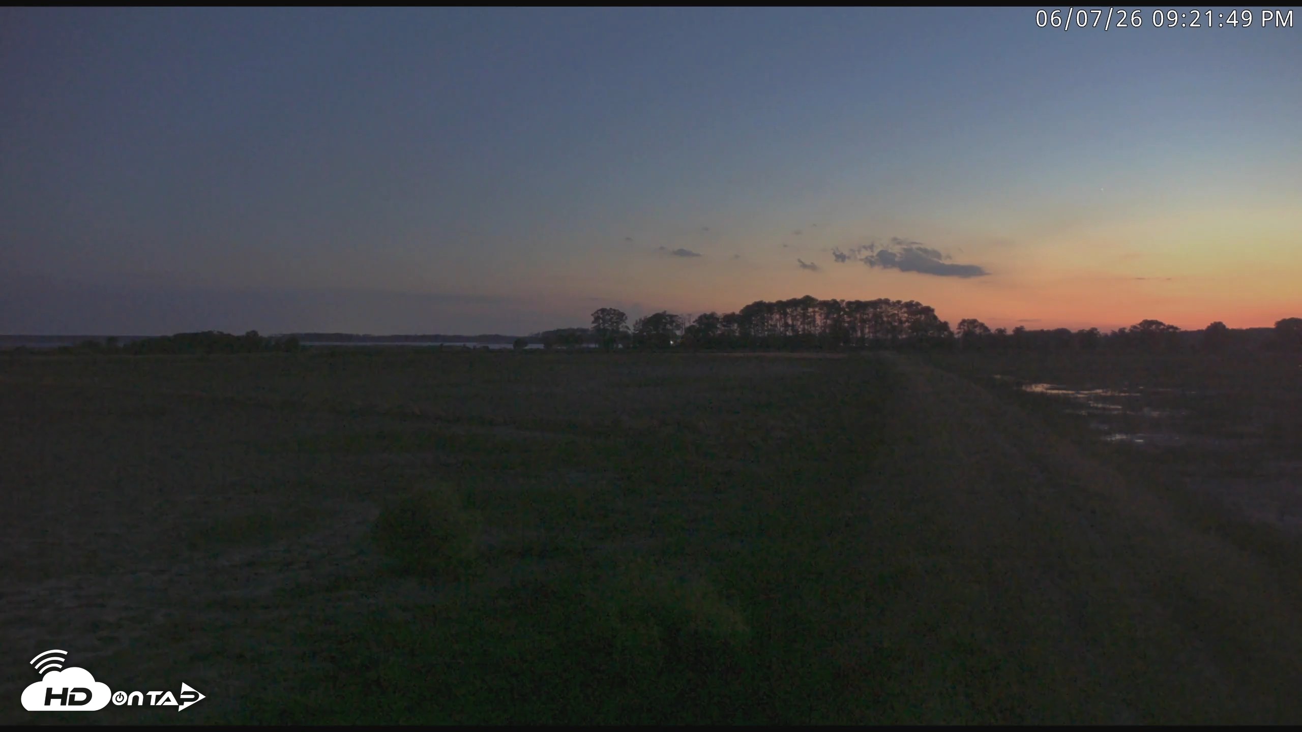 Snapshot of Blackwater Wildlife Refuge Waterfowl Live Webcam taken Jun 7, 2026, 9:22pm EDT