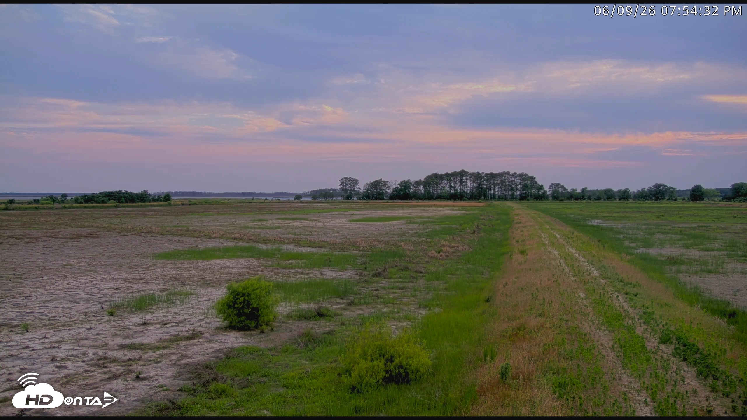 Snapshot of Blackwater Wildlife Refuge Waterfowl Live Webcam taken Jun 9, 2026, 7:55pm EDT