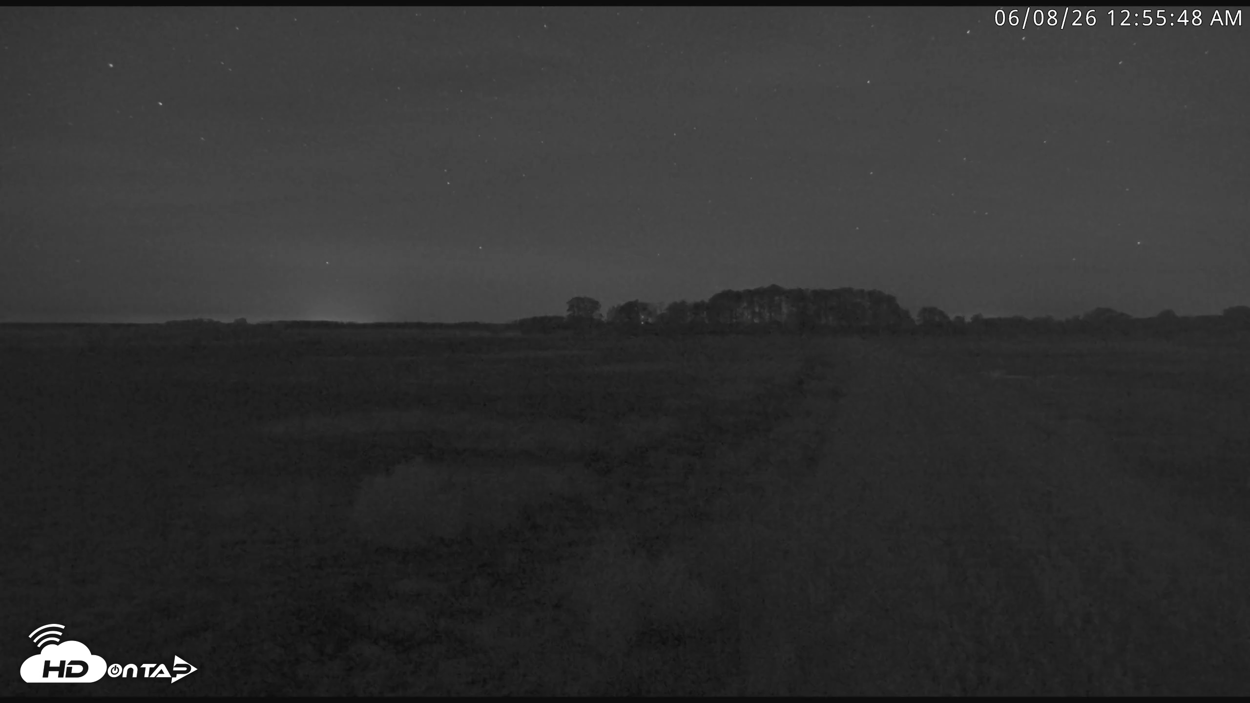 Snapshot of Blackwater Wildlife Refuge Waterfowl Live Webcam taken Jun 8, 2026, 12:56am EDT