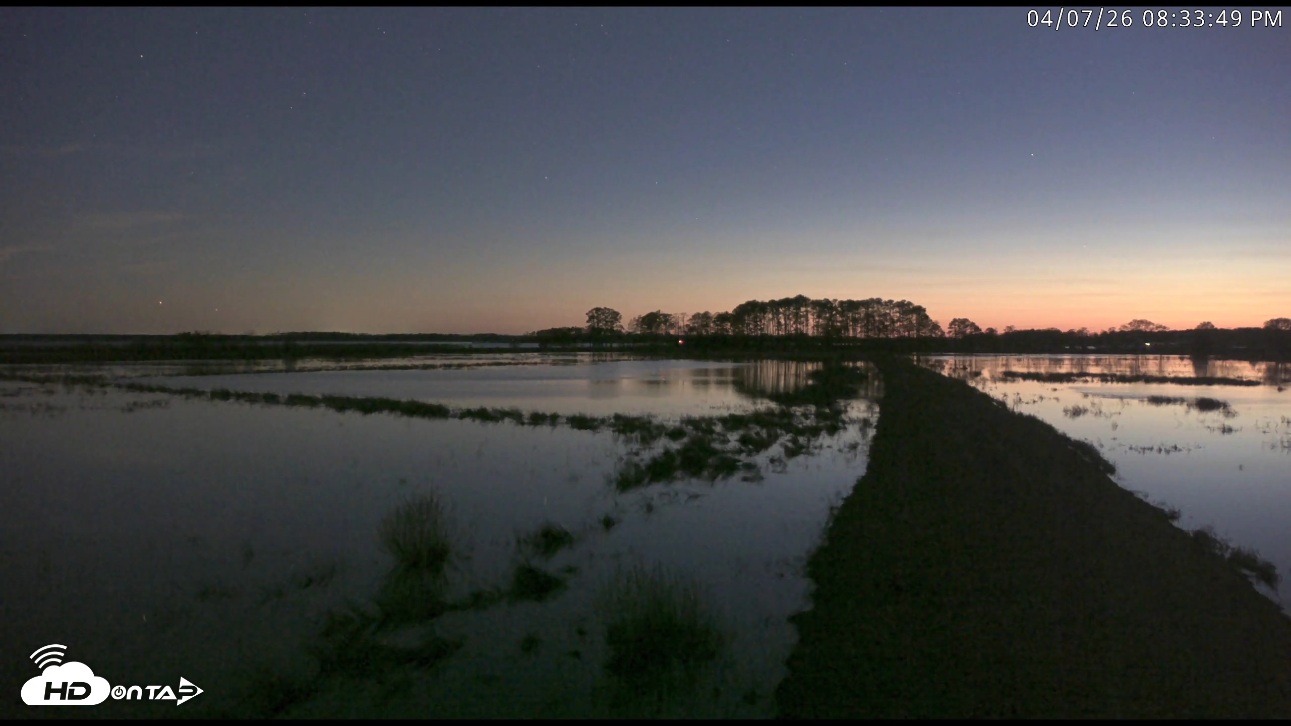 Snapshot of Blackwater Wildlife Refuge Waterfowl Live Webcam taken Apr 7, 2026, 8:34pm EDT
