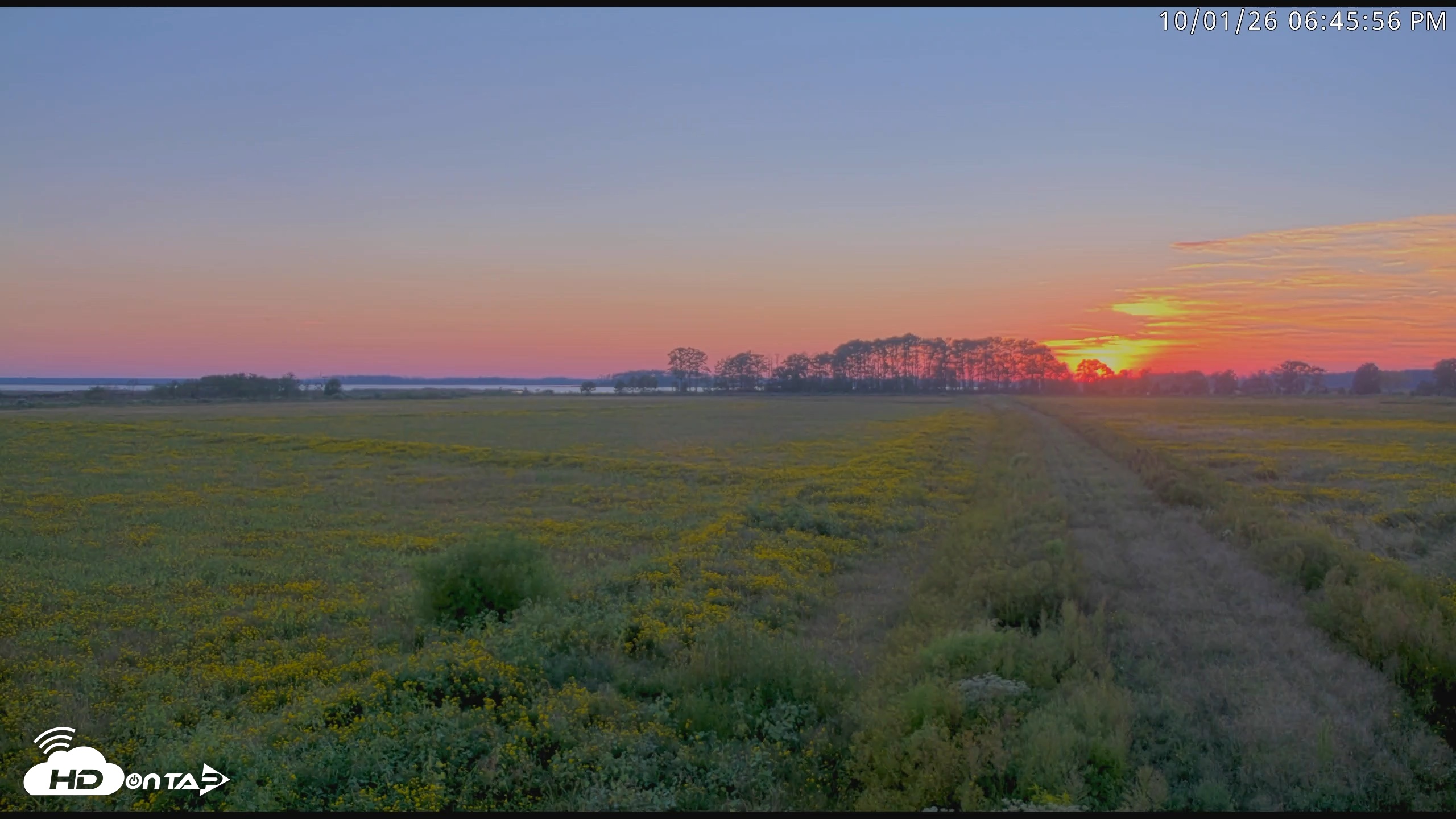 Snapshot of Blackwater Wildlife Refuge Waterfowl Live Webcam taken Oct 1, 2026, 6:46pm EDT