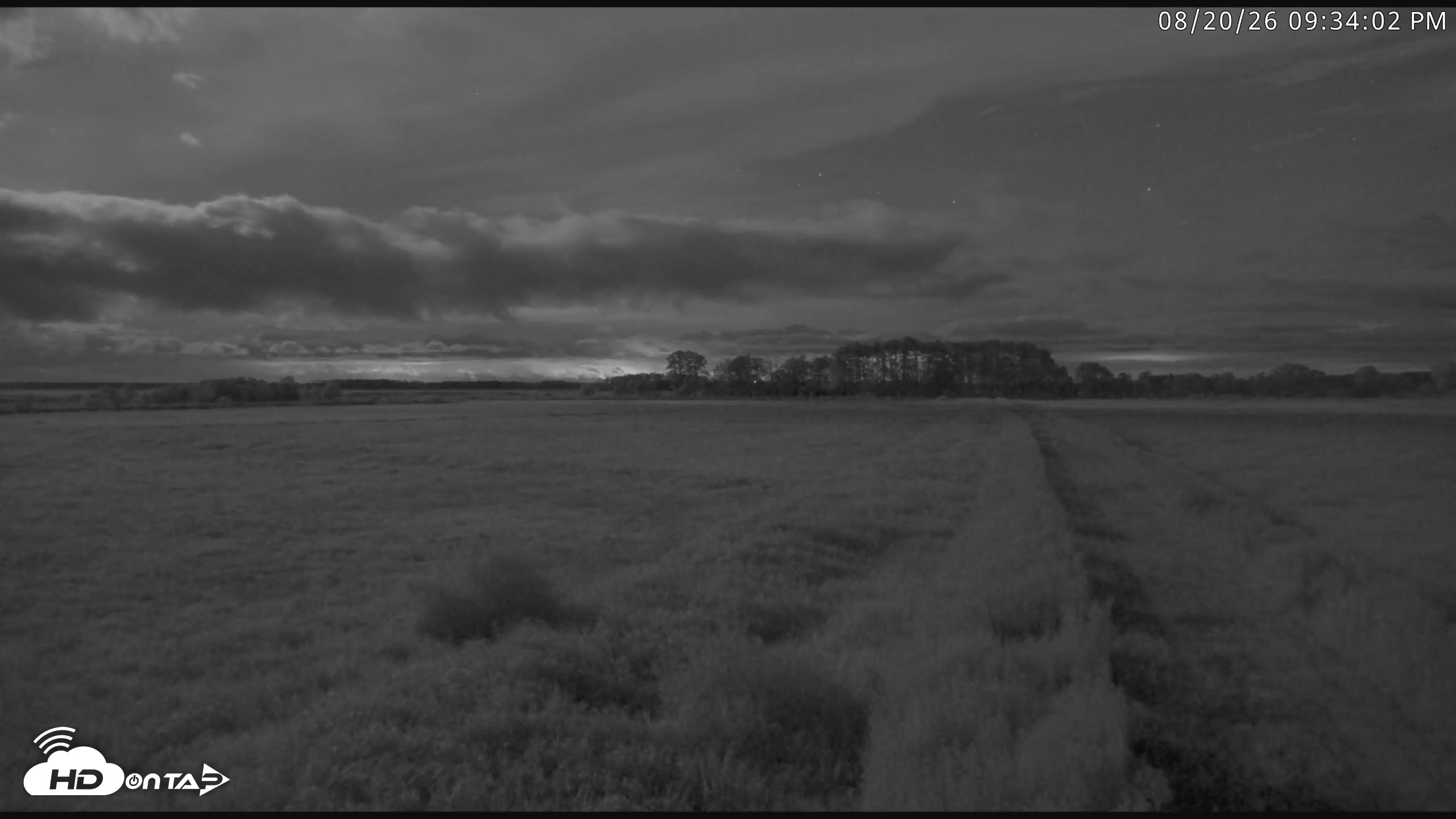 Snapshot of Blackwater Wildlife Refuge Waterfowl Live Webcam taken Aug 20, 2026, 9:34pm EDT