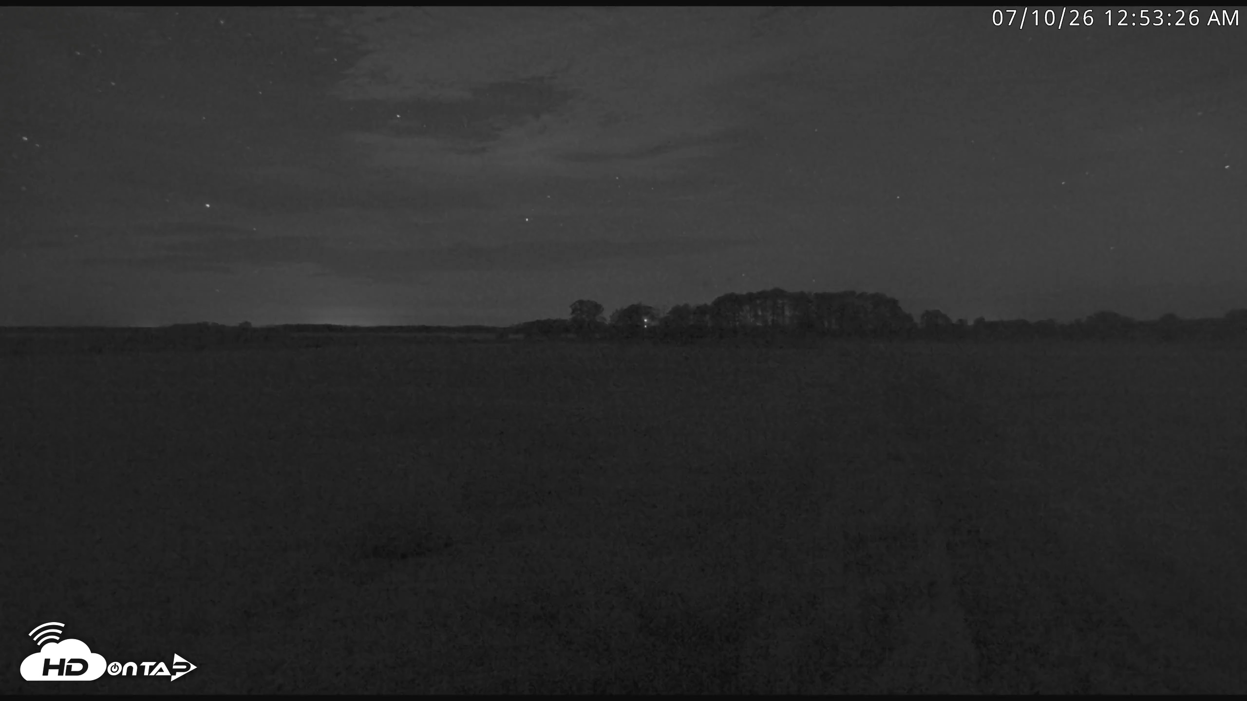 Snapshot of Blackwater Wildlife Refuge Waterfowl Live Webcam taken Jul 10, 2026, 12:54am EDT