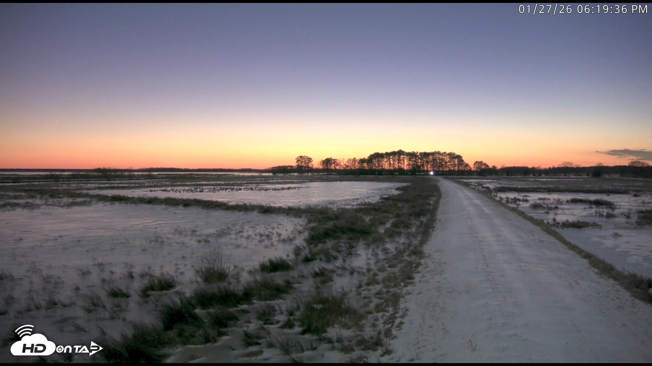 Snapshot of Blackwater Wildlife Refuge Waterfowl Live Webcam taken Jan 27, 2026, 6:20pm EST