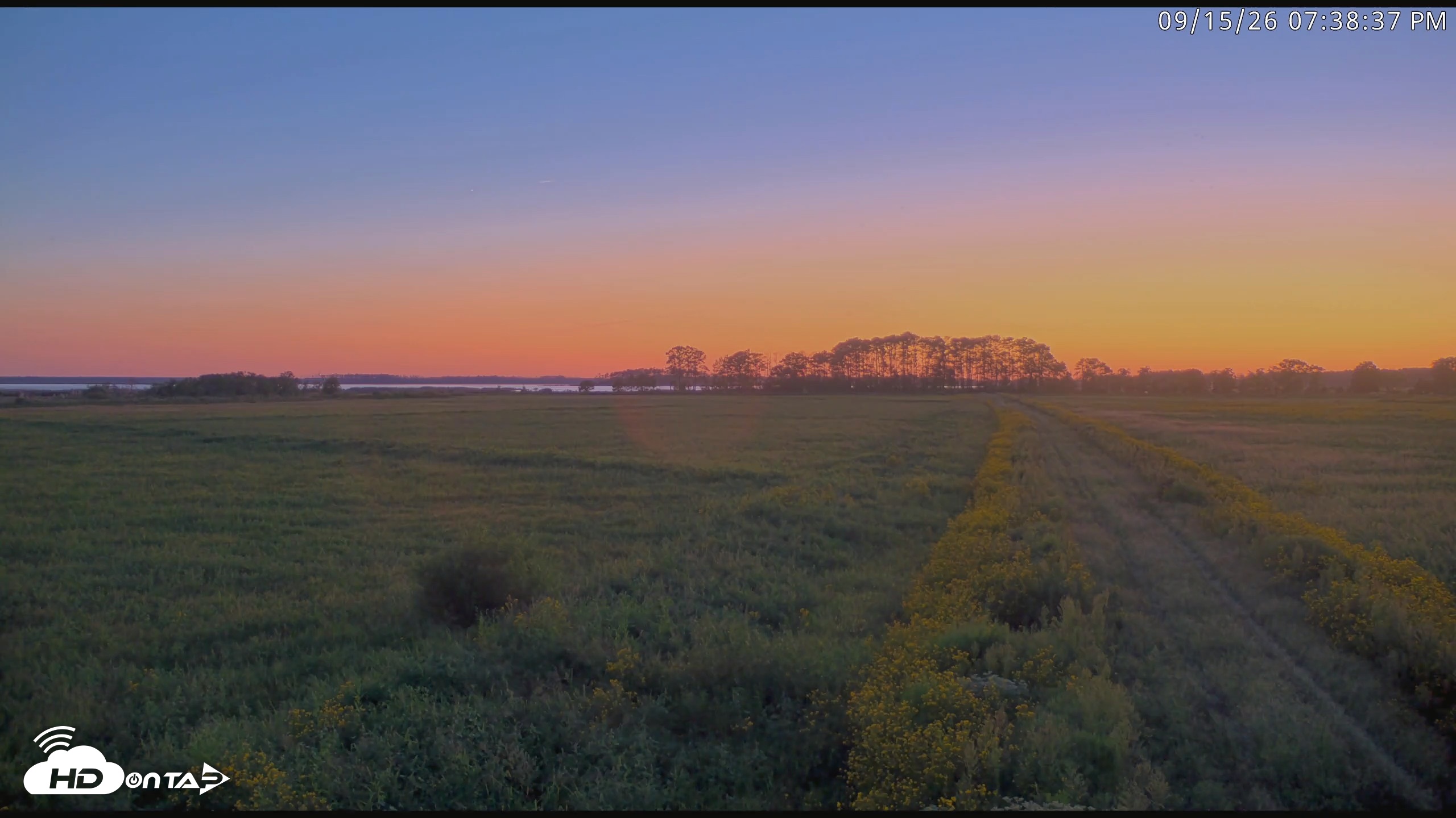 Snapshot of Blackwater Wildlife Refuge Waterfowl Live Webcam taken Sep 15, 2026, 7:39pm EDT