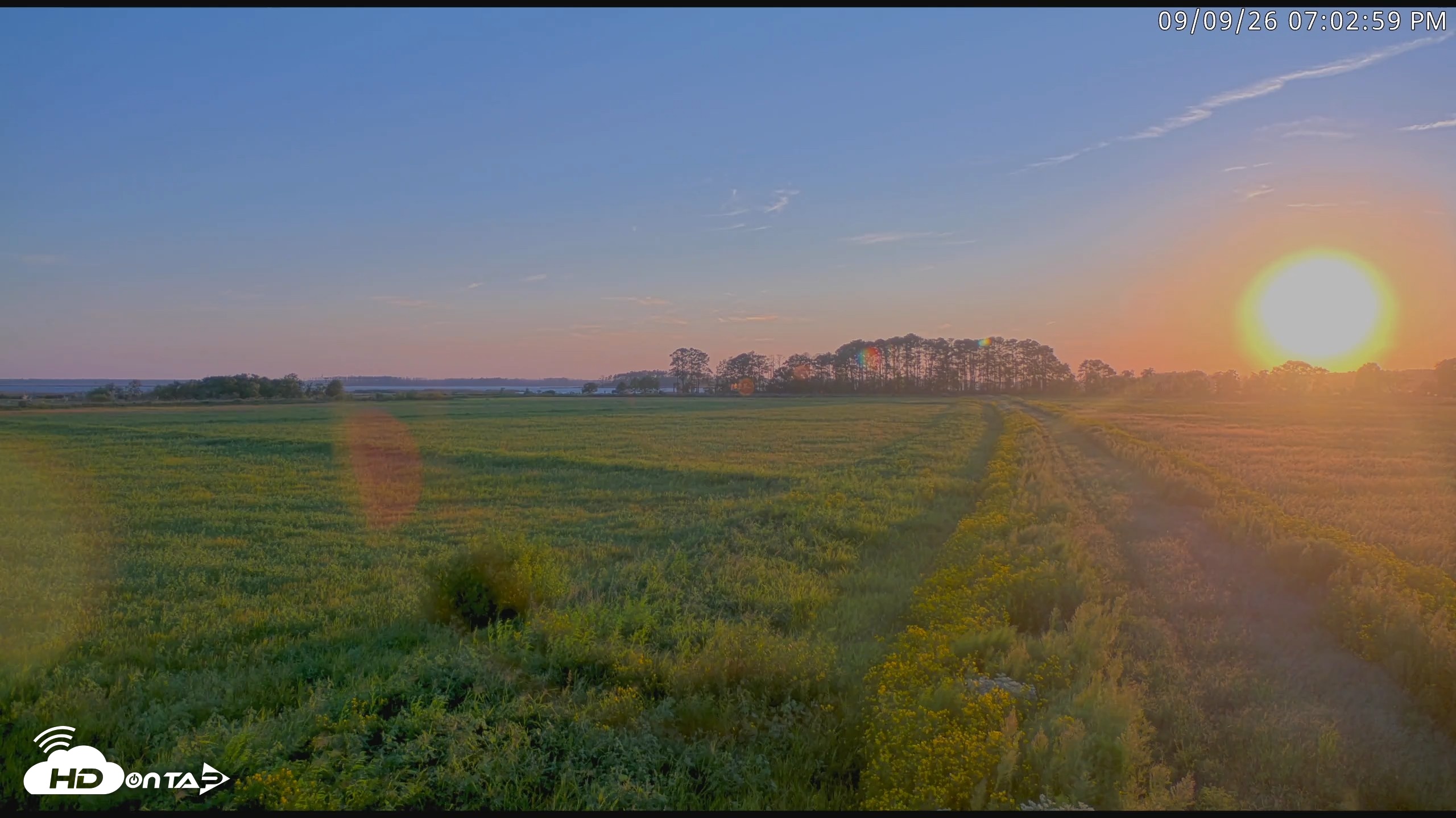 Snapshot of Blackwater Wildlife Refuge Waterfowl Live Webcam taken Sep 9, 2026, 7:04pm EDT