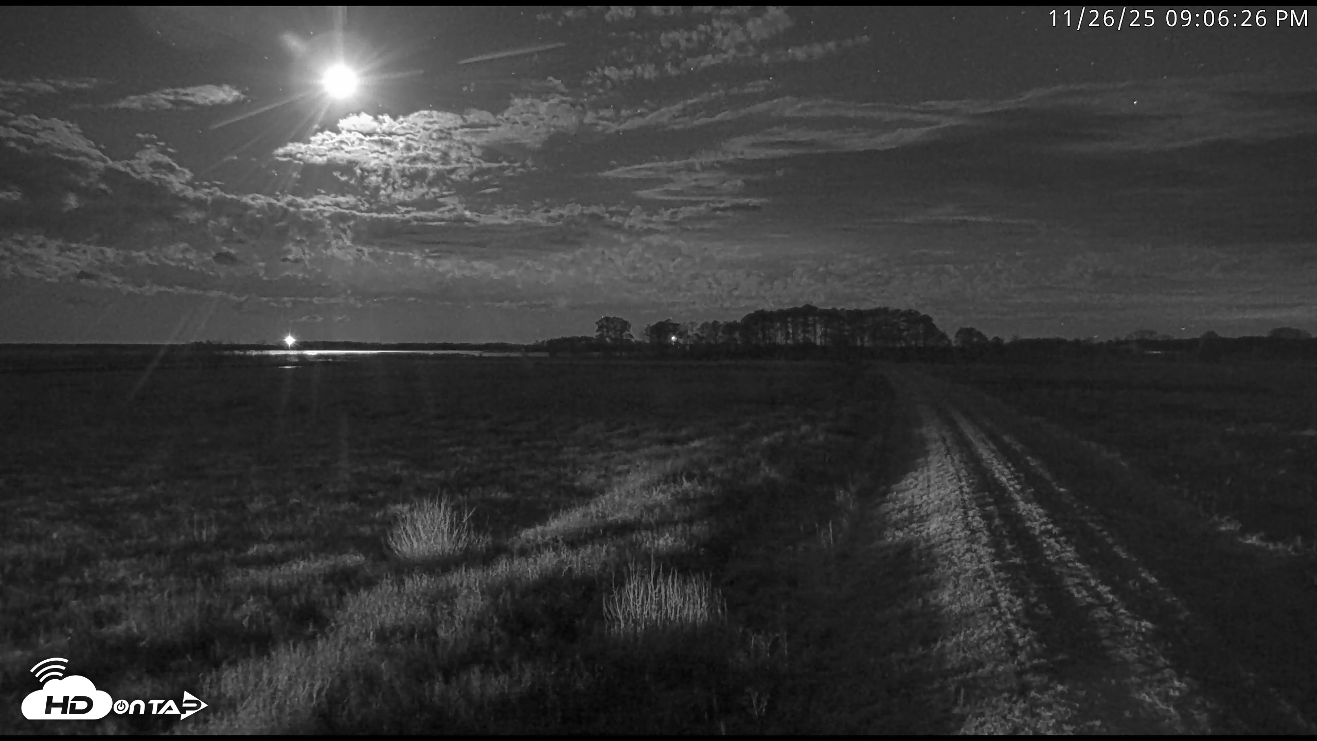 Snapshot of Blackwater Wildlife Refuge Waterfowl Live Webcam taken Nov 26, 2025, 9:05pm EST