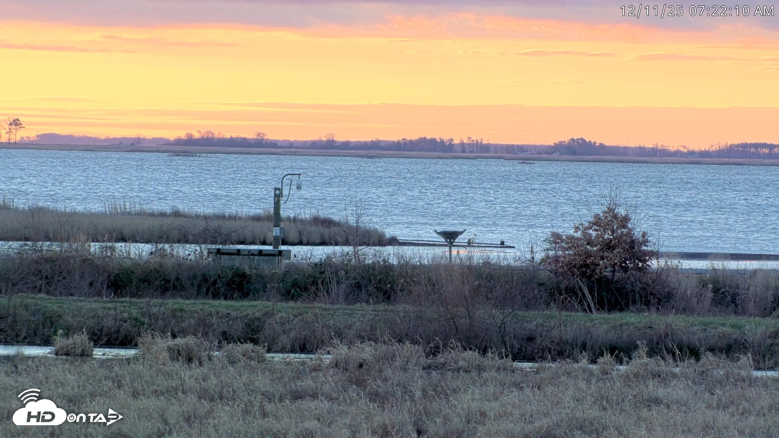 Snapshot of Blackwater Wildlife Refuge Waterfowl Live Webcam taken Dec 11, 2025, 7:20am EST