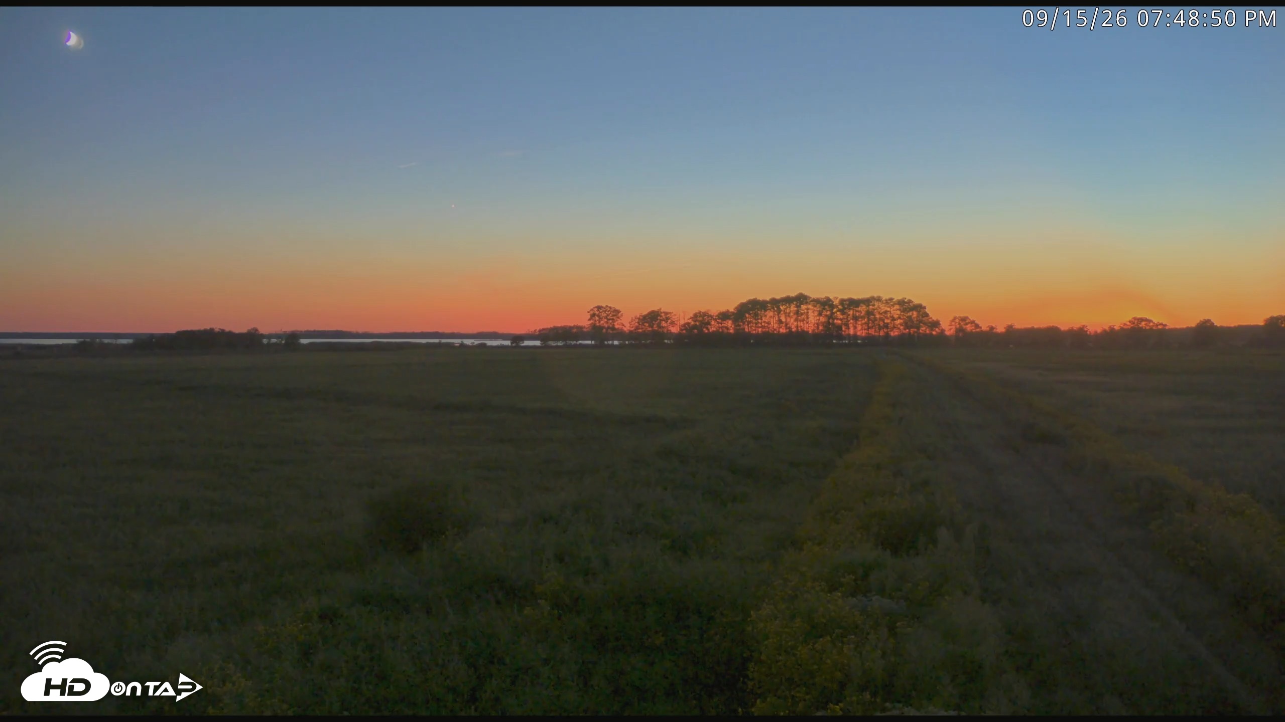 Snapshot of Blackwater Wildlife Refuge Waterfowl Live Webcam taken Sep 15, 2026, 7:49pm EDT