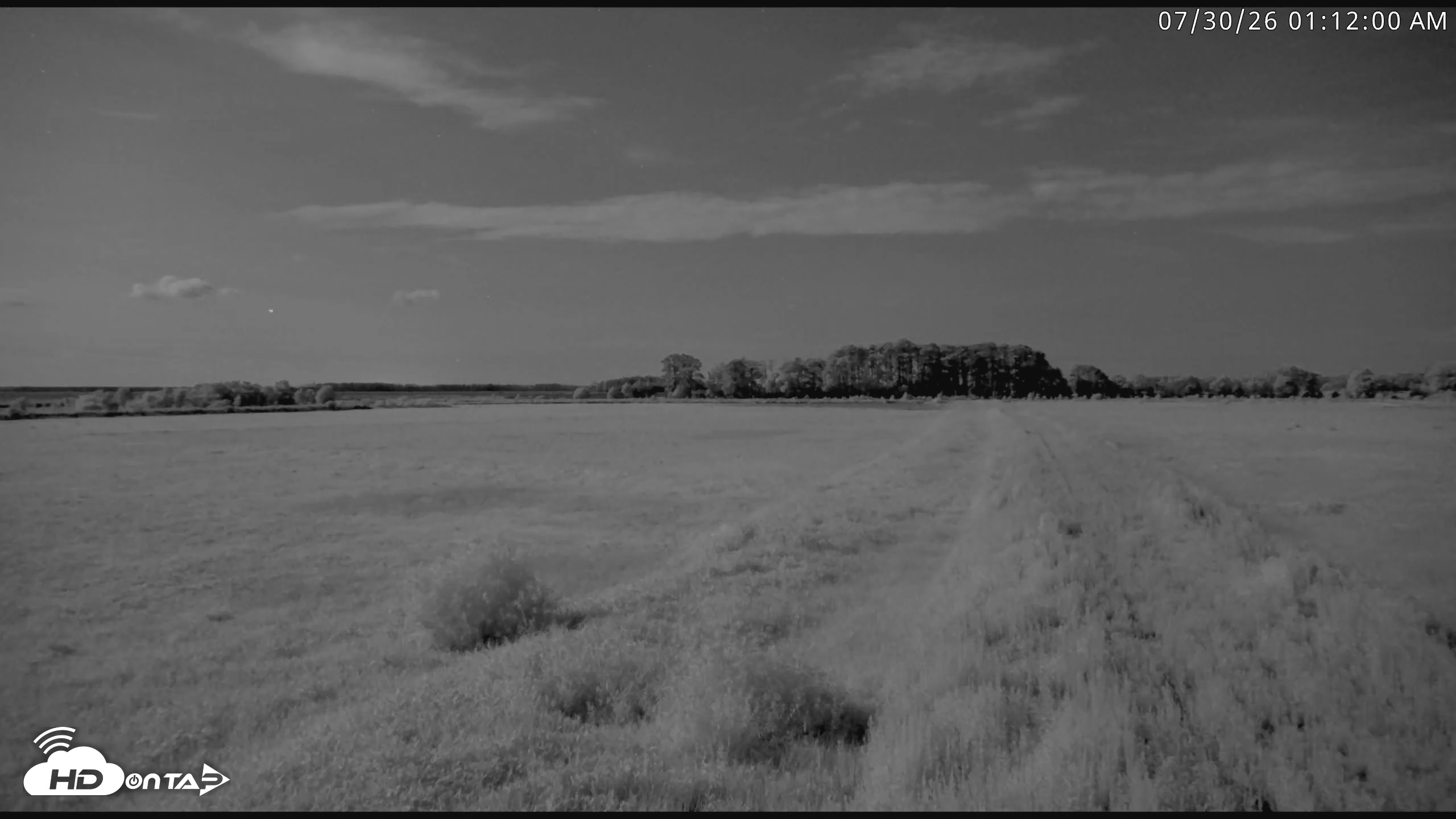Snapshot of Blackwater Wildlife Refuge Waterfowl Live Webcam taken Jul 30, 2026, 1:12am EDT
