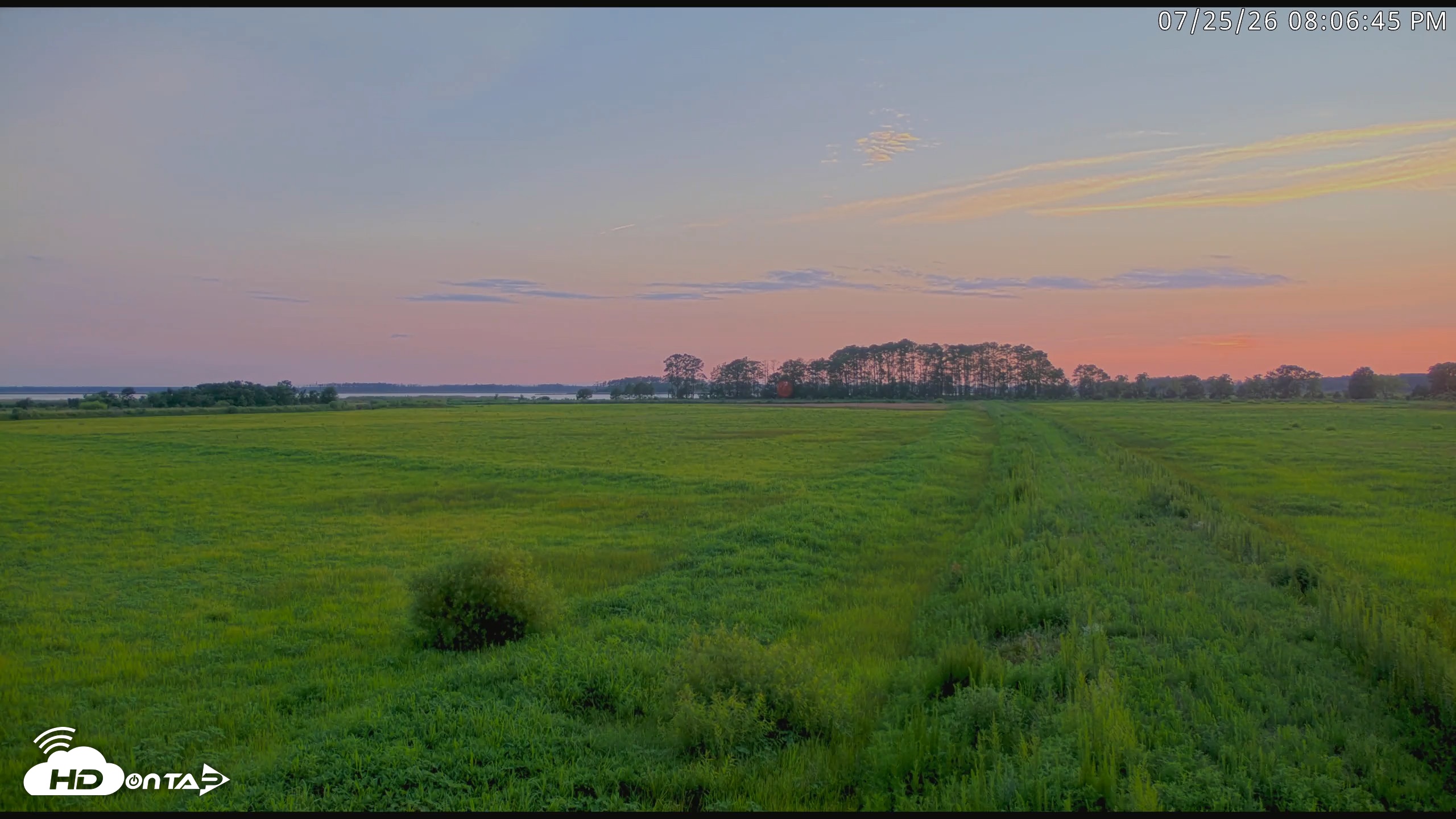 Snapshot of Blackwater Wildlife Refuge Waterfowl Live Webcam taken Jul 25, 2026, 8:07pm EDT