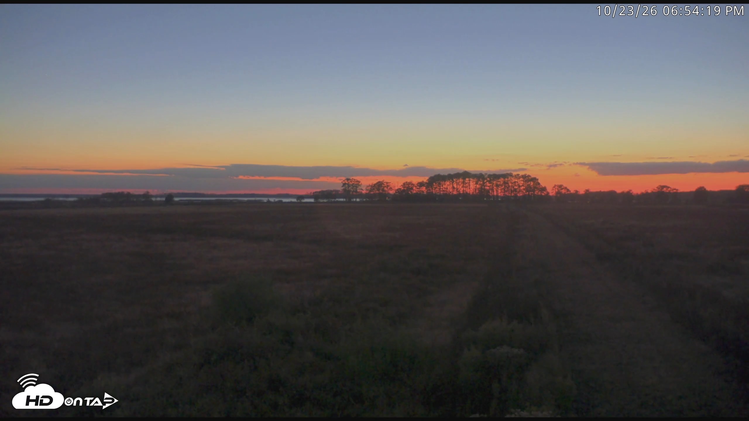 Snapshot of Blackwater Wildlife Refuge Waterfowl Live Webcam taken Oct 23, 2026, 6:54pm EDT