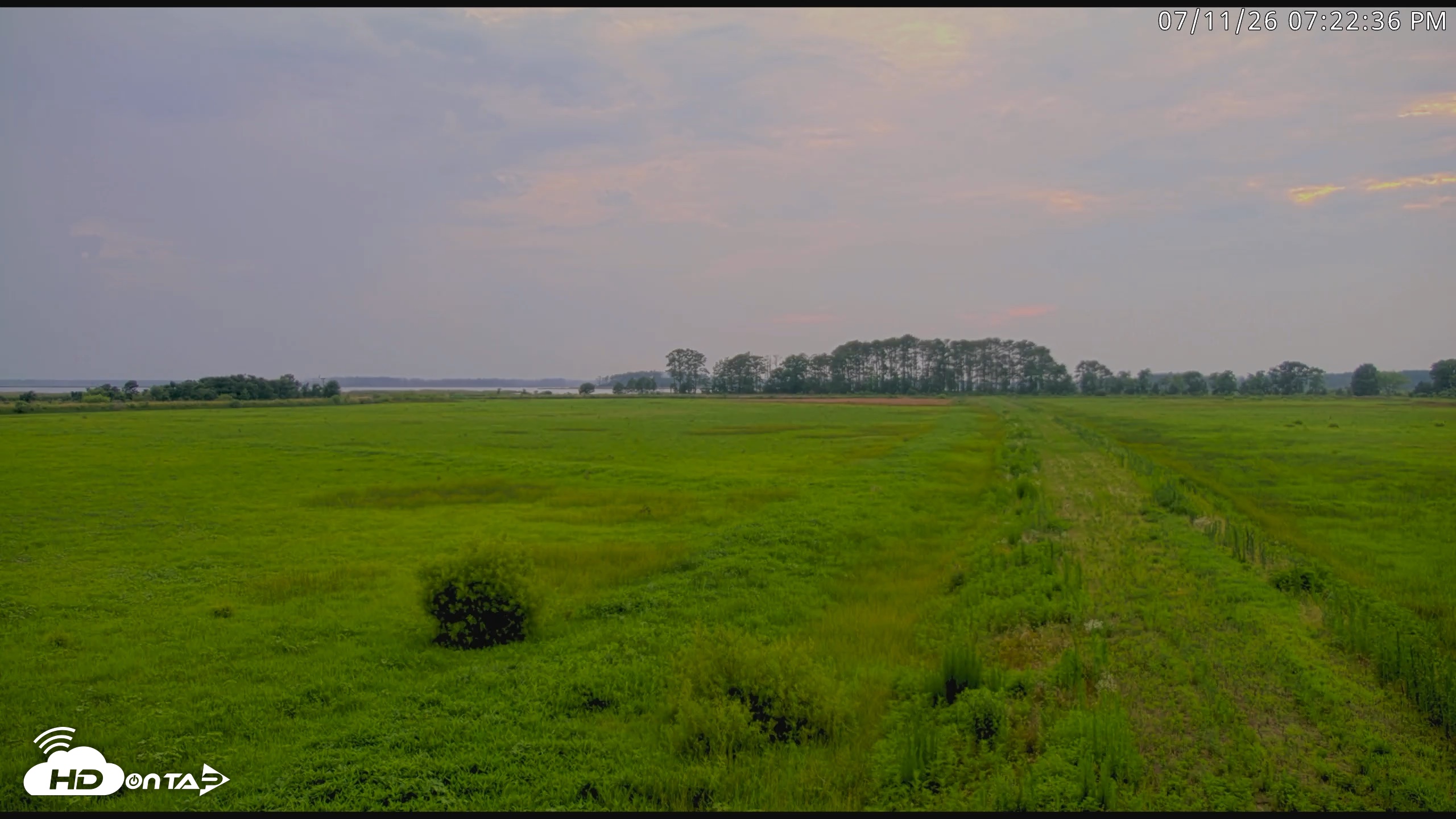 Snapshot of Blackwater Wildlife Refuge Waterfowl Live Webcam taken Jul 11, 2026, 7:23pm EDT
