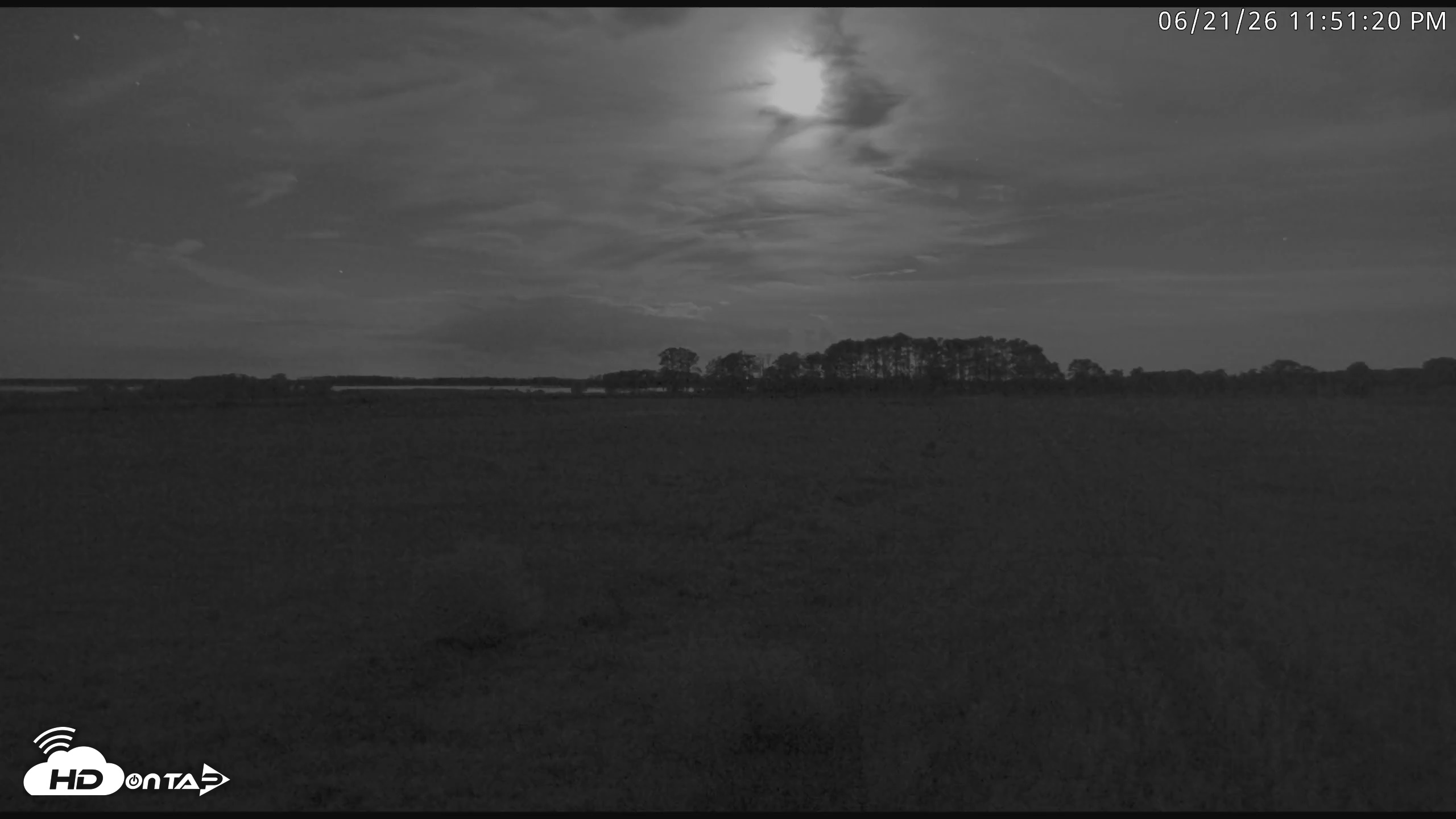 Snapshot of Blackwater Wildlife Refuge Waterfowl Live Webcam taken Jun 21, 2026, 11:52pm EDT