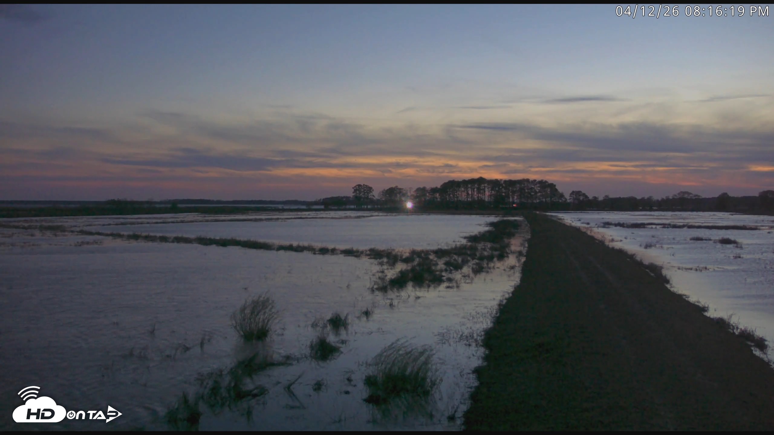 Snapshot of Blackwater Wildlife Refuge Waterfowl Live Webcam taken Apr 12, 2026, 8:17pm EDT