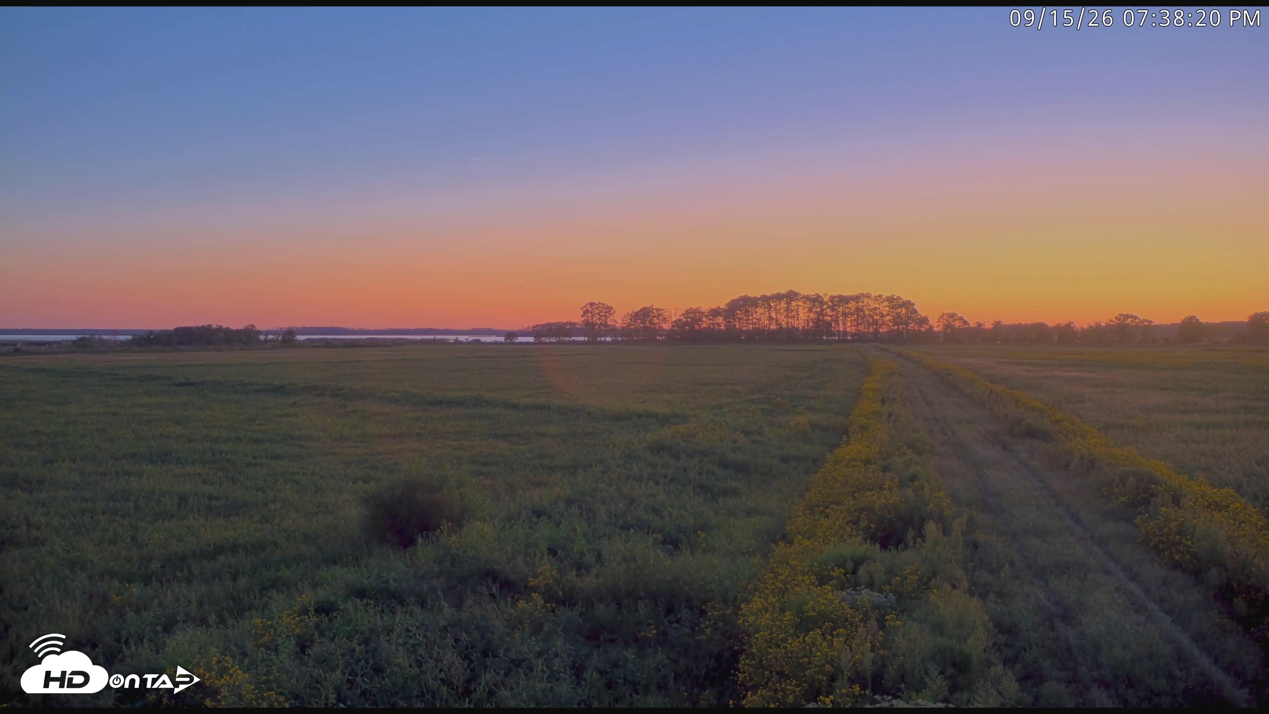 Snapshot of Blackwater Wildlife Refuge Waterfowl Live Webcam taken Sep 15, 2026, 7:39pm EDT