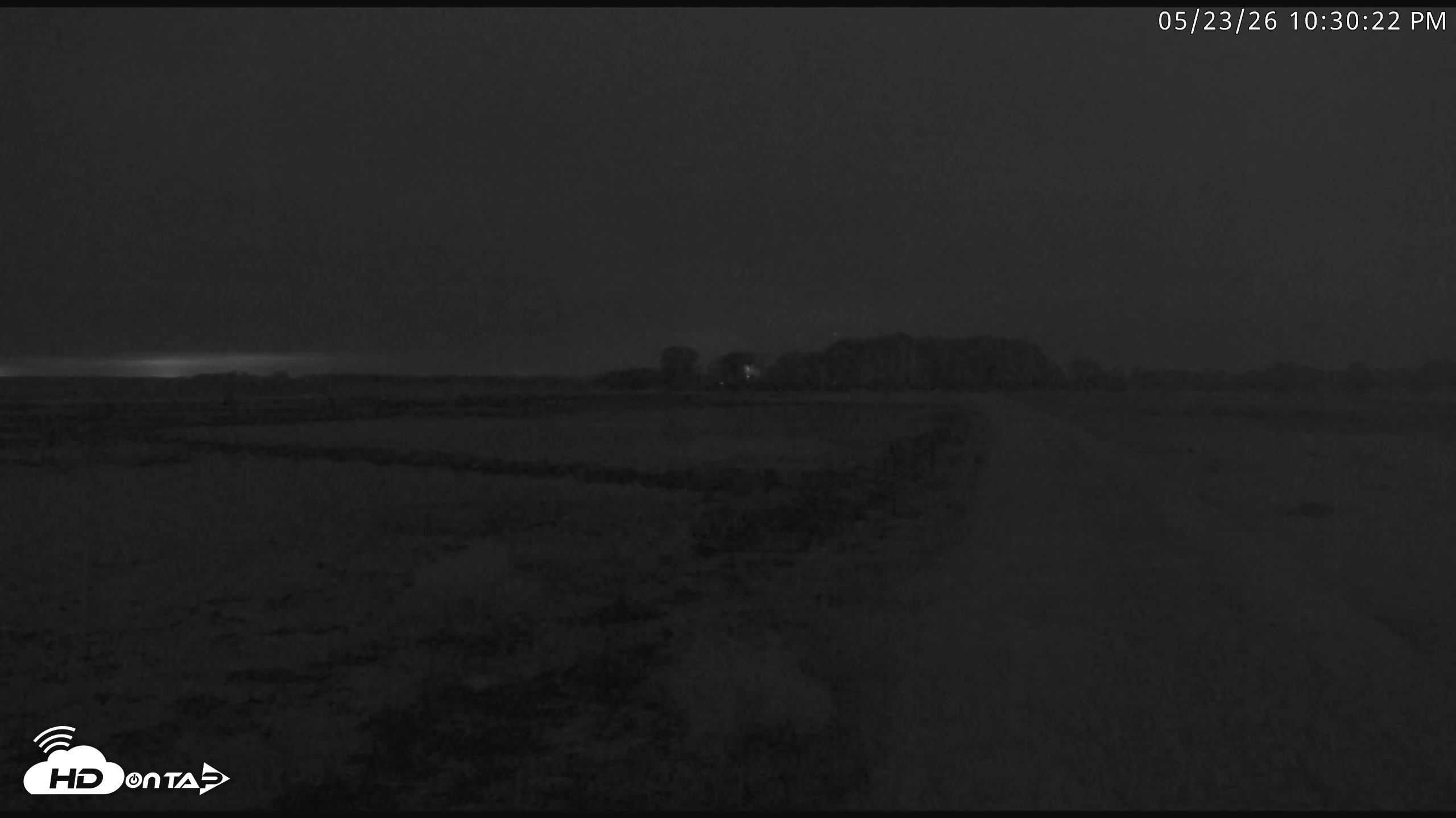 Snapshot of Blackwater Wildlife Refuge Waterfowl Live Webcam taken May 23, 2026, 10:31pm EDT