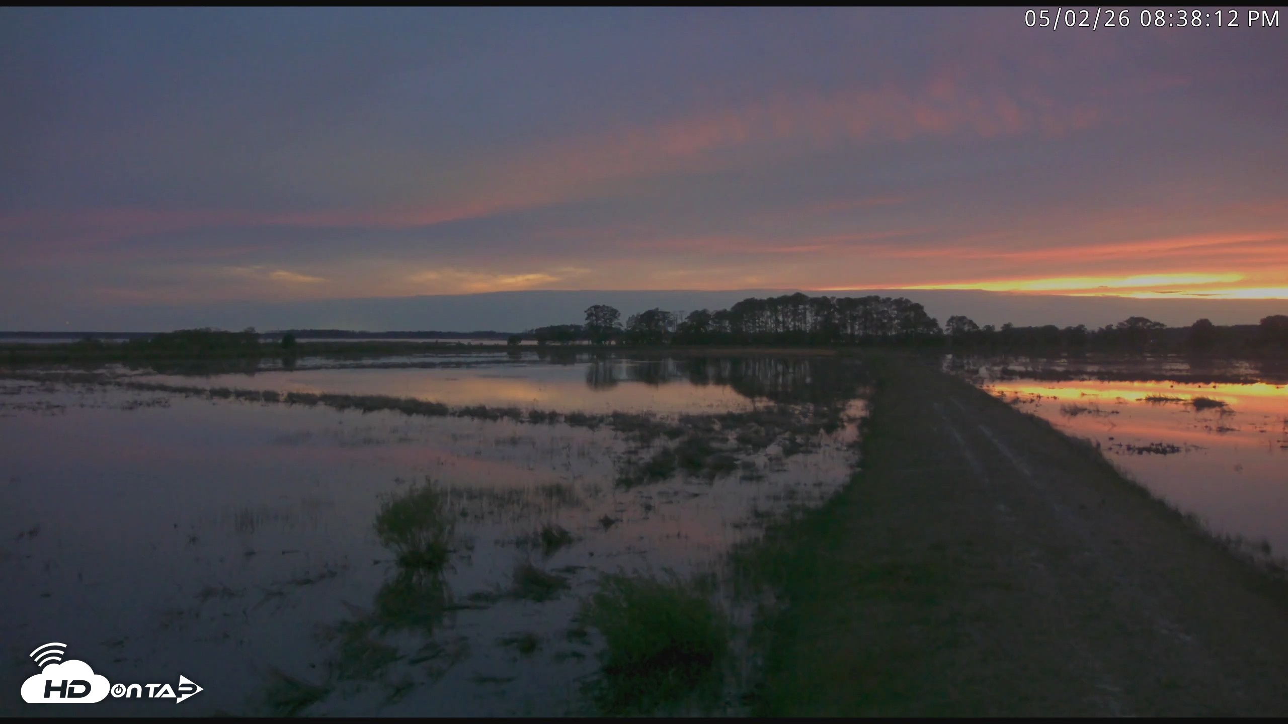 Snapshot of Blackwater Wildlife Refuge Waterfowl Live Webcam taken May 2, 2026, 8:38pm EDT