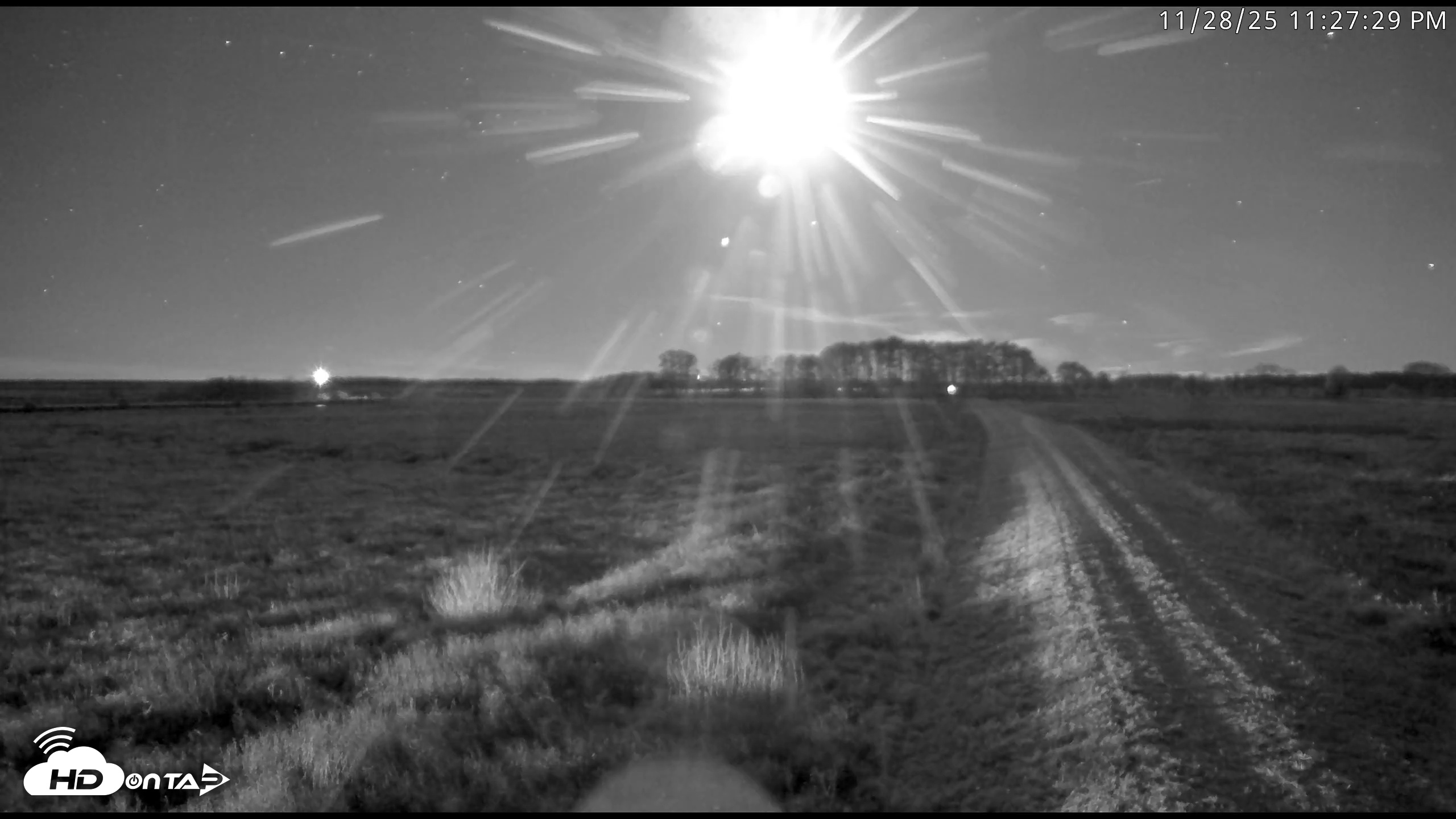 Snapshot of Blackwater Wildlife Refuge Waterfowl Live Webcam taken Nov 28, 2025, 11:28pm EST