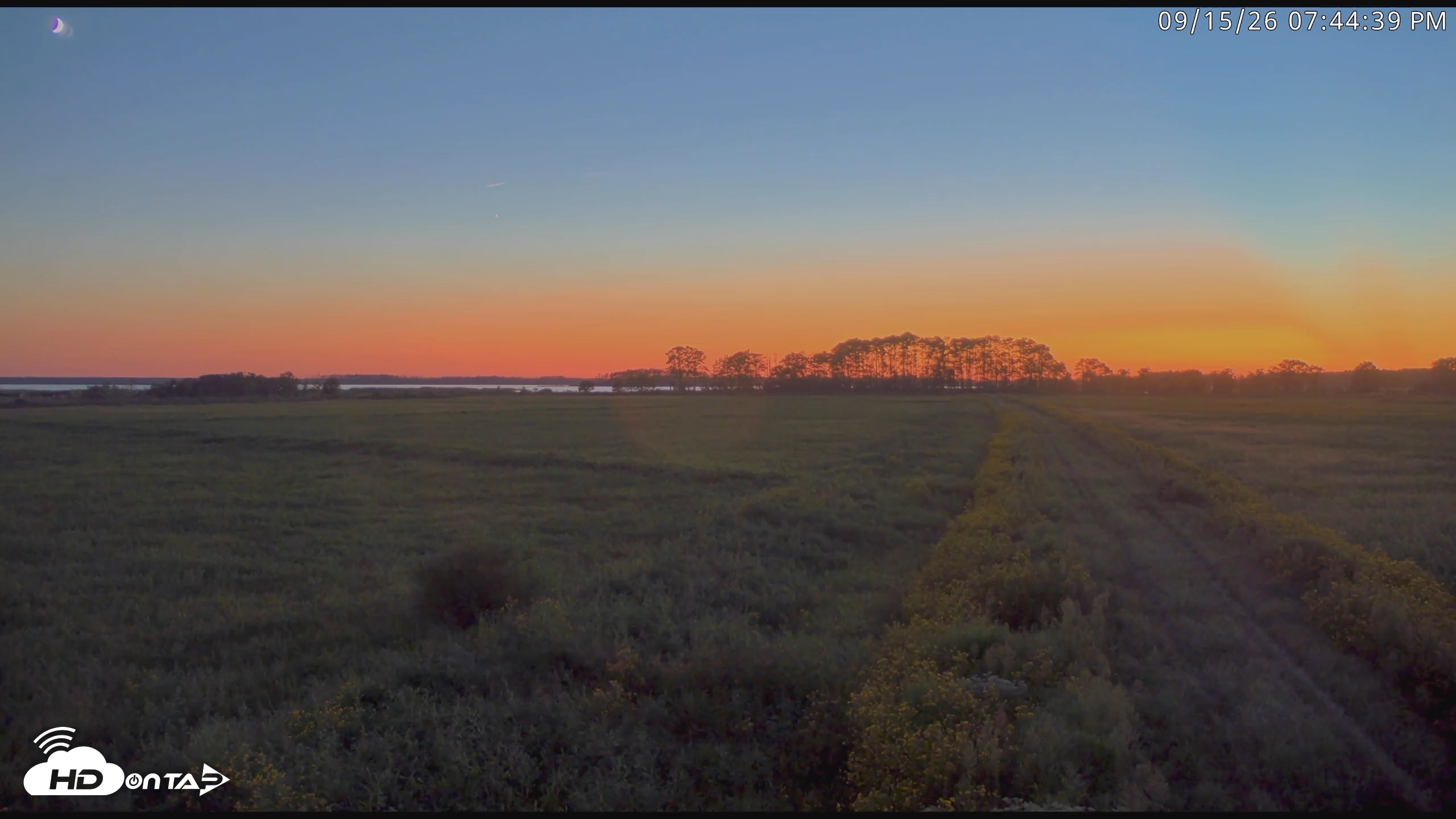 Snapshot of Blackwater Wildlife Refuge Waterfowl Live Webcam taken Sep 15, 2026, 7:45pm EDT