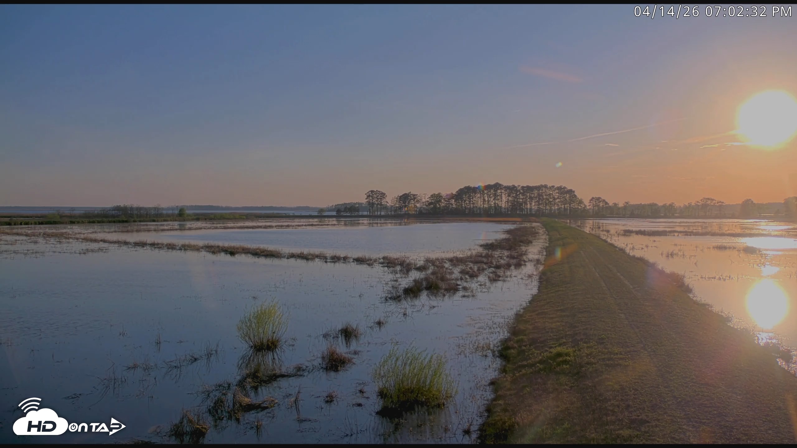 Snapshot of Blackwater Wildlife Refuge Waterfowl Live Webcam taken Apr 14, 2026, 7:03pm EDT