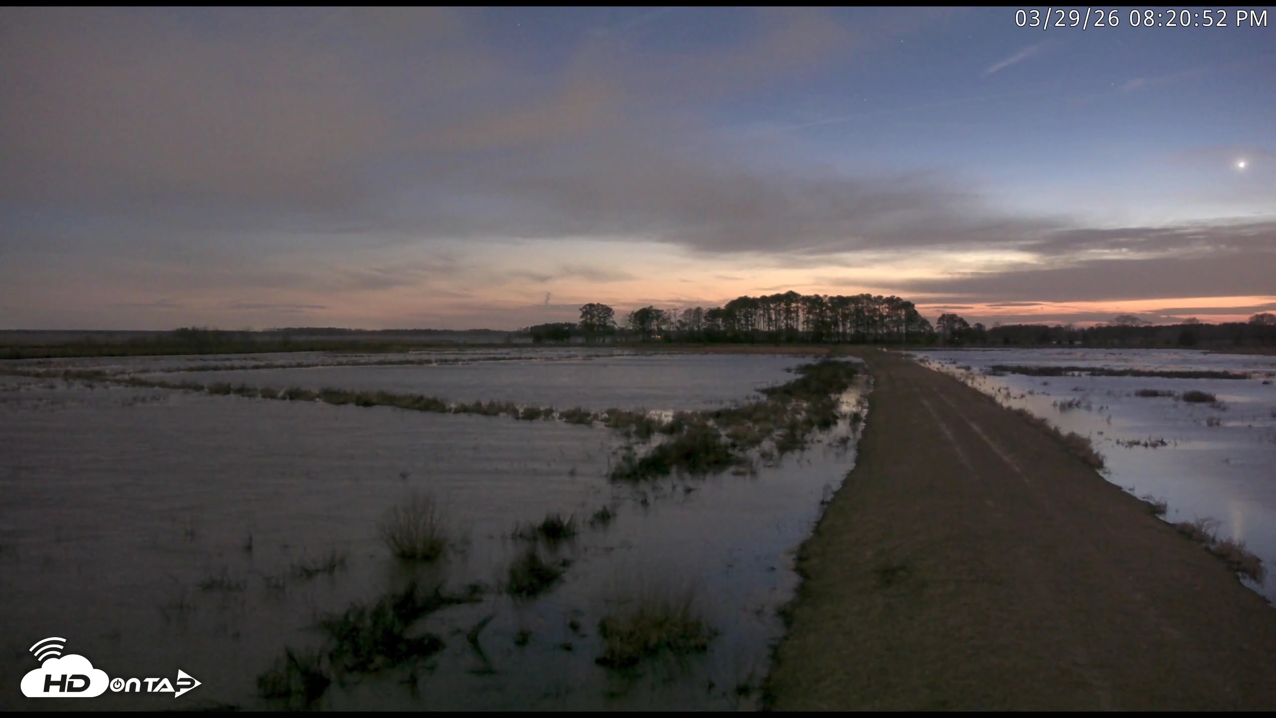 Snapshot of Blackwater Wildlife Refuge Waterfowl Live Webcam taken Mar 29, 2026, 8:21pm EDT