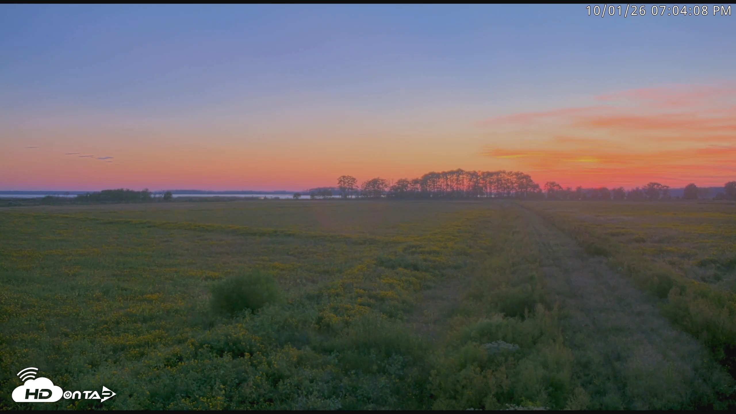 Snapshot of Blackwater Wildlife Refuge Waterfowl Live Webcam taken Oct 1, 2026, 7:04pm EDT