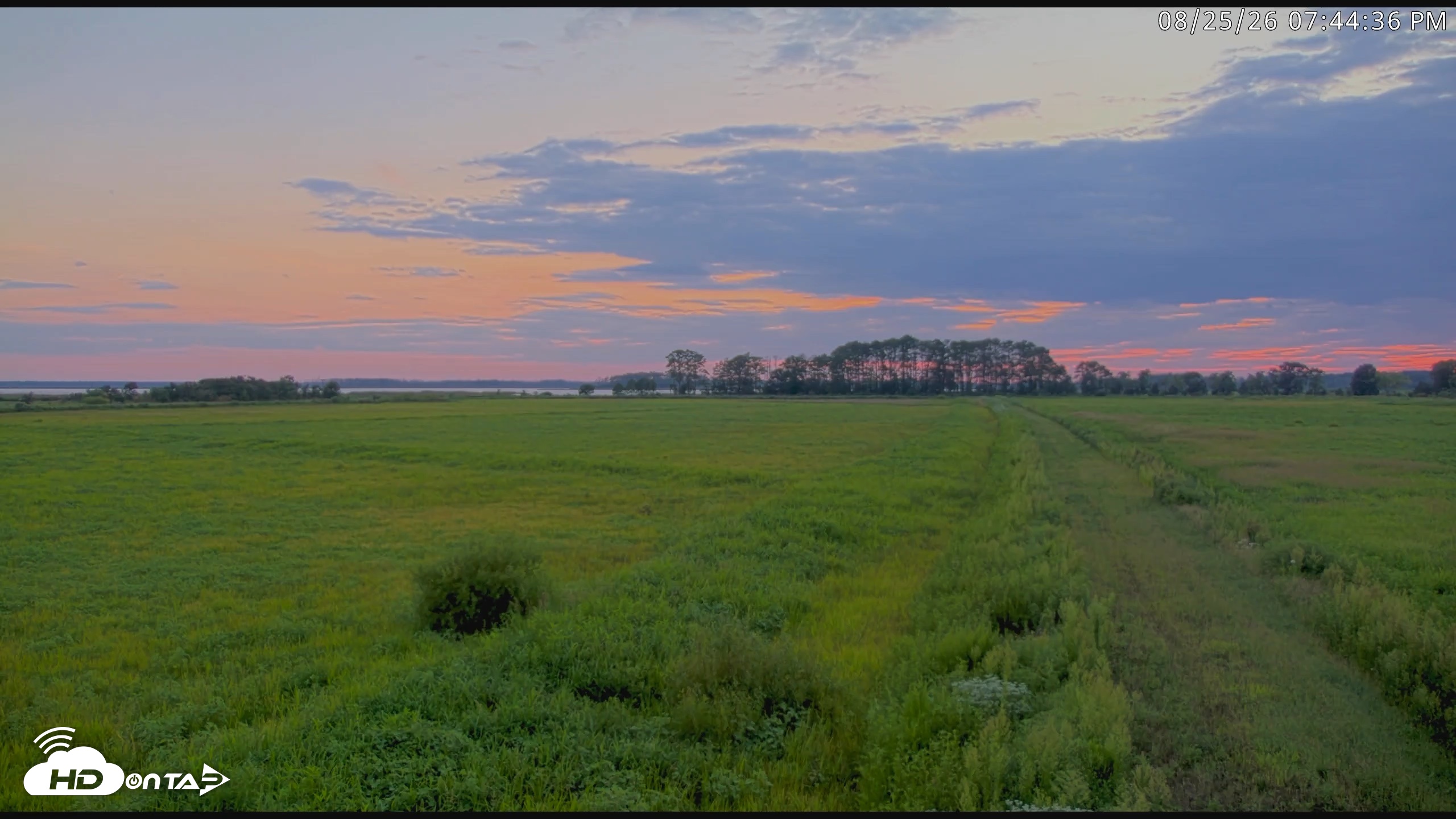 Snapshot of Blackwater Wildlife Refuge Waterfowl Live Webcam taken Aug 25, 2026, 7:45pm EDT