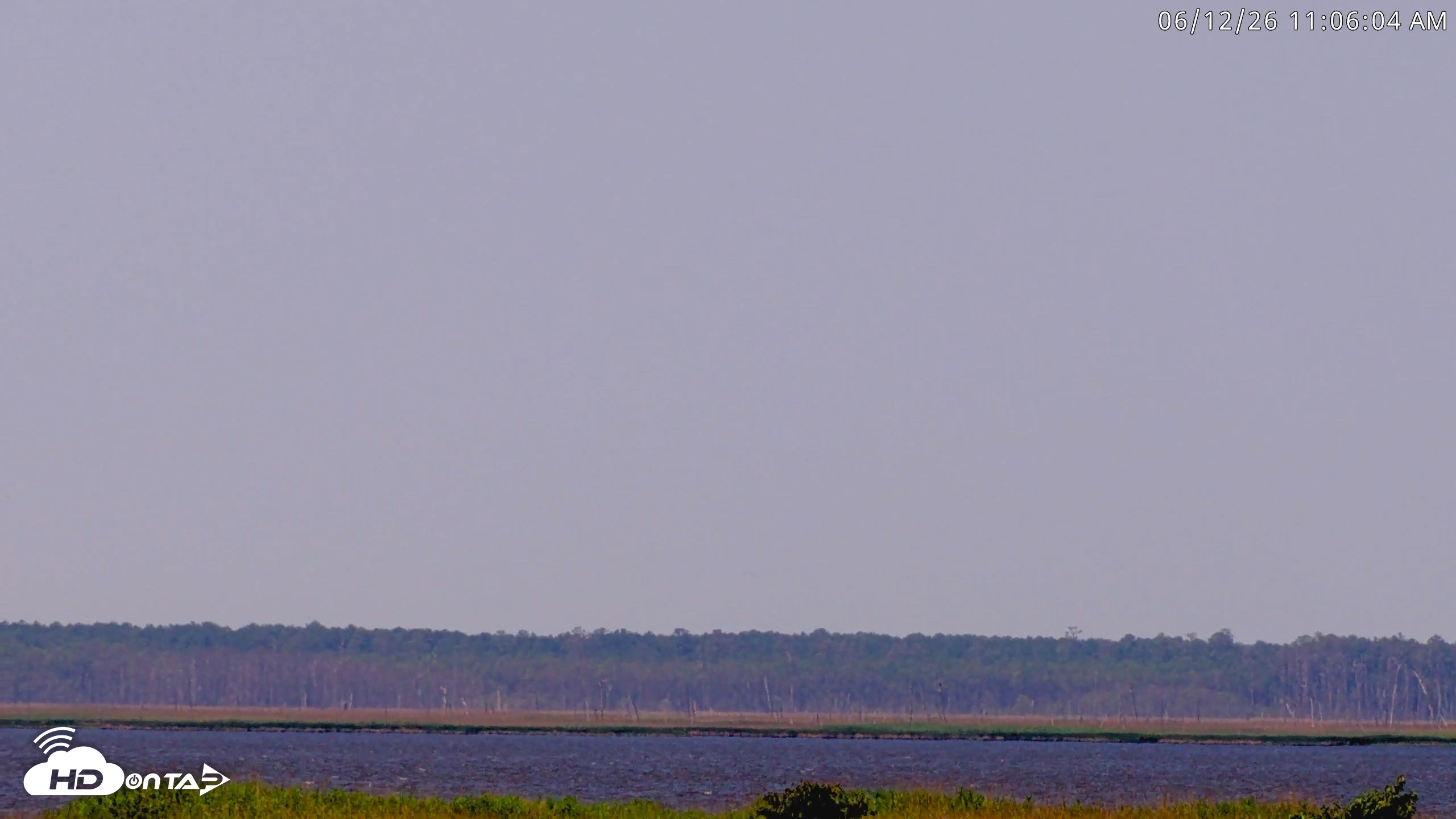 Snapshot of Blackwater Wildlife Refuge Waterfowl Live Webcam taken Jun 12, 2026, 11:06am EDT