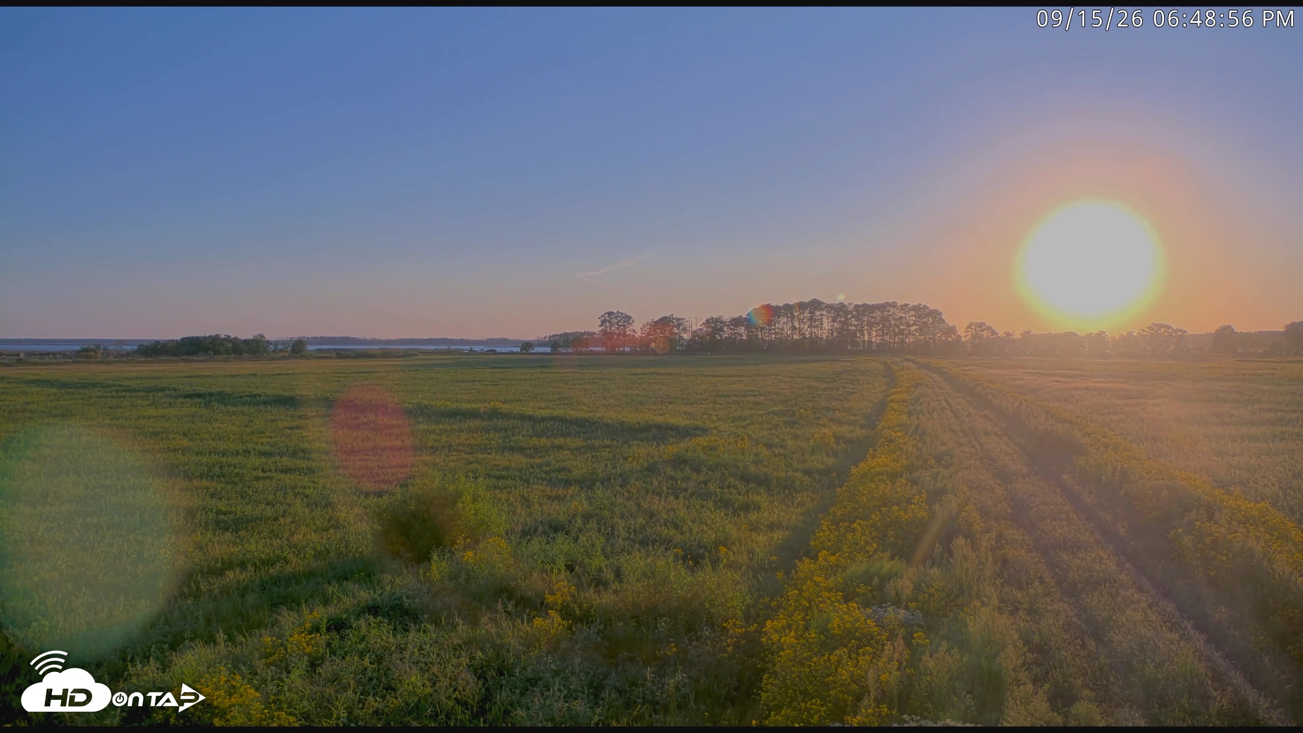 Snapshot of Blackwater Wildlife Refuge Waterfowl Live Webcam taken Sep 15, 2026, 6:49pm EDT