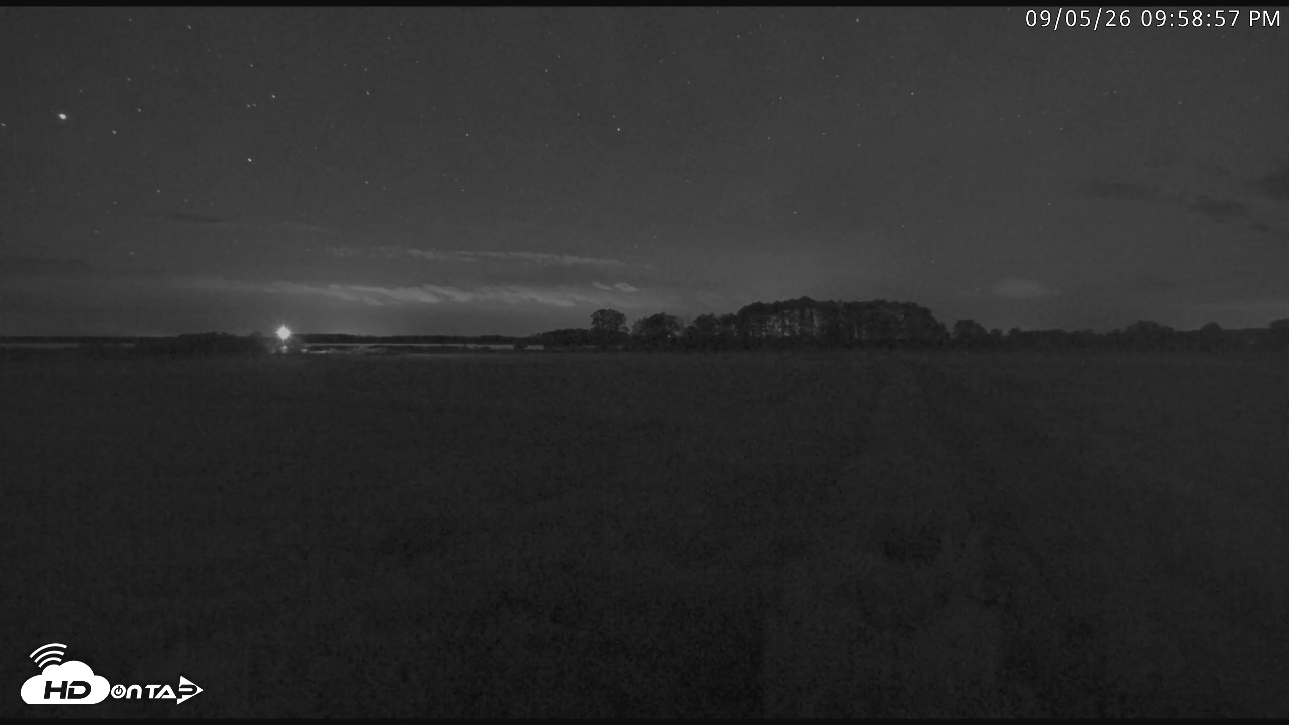 Snapshot of Blackwater Wildlife Refuge Waterfowl Live Webcam taken Sep 5, 2026, 9:59pm EDT