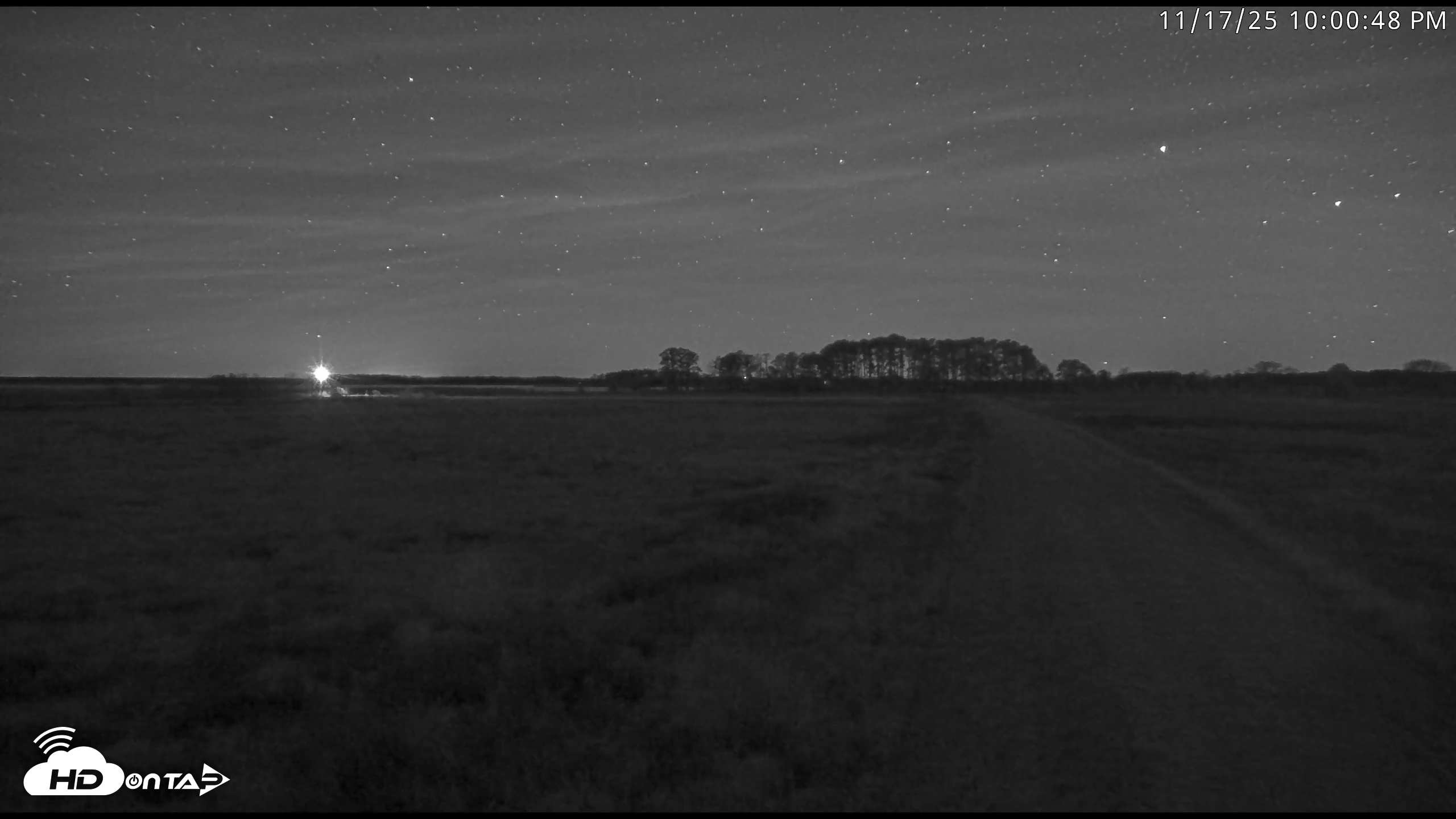 Snapshot of Blackwater Wildlife Refuge Waterfowl Live Webcam taken Nov 17, 2025, 10:00pm EST