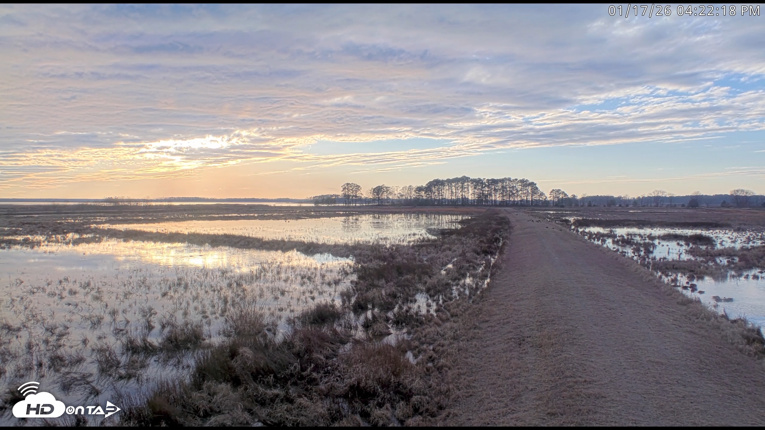 Snapshot of Blackwater Wildlife Refuge Waterfowl Live Webcam taken Jan 17, 2026, 4:22pm EST