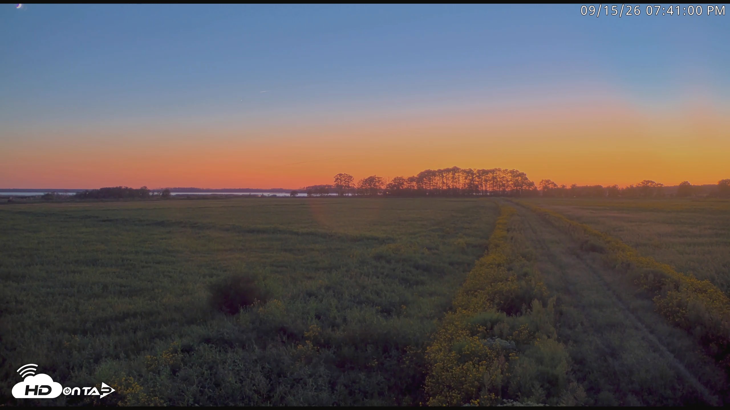 Snapshot of Blackwater Wildlife Refuge Waterfowl Live Webcam taken Sep 15, 2026, 7:41pm EDT
