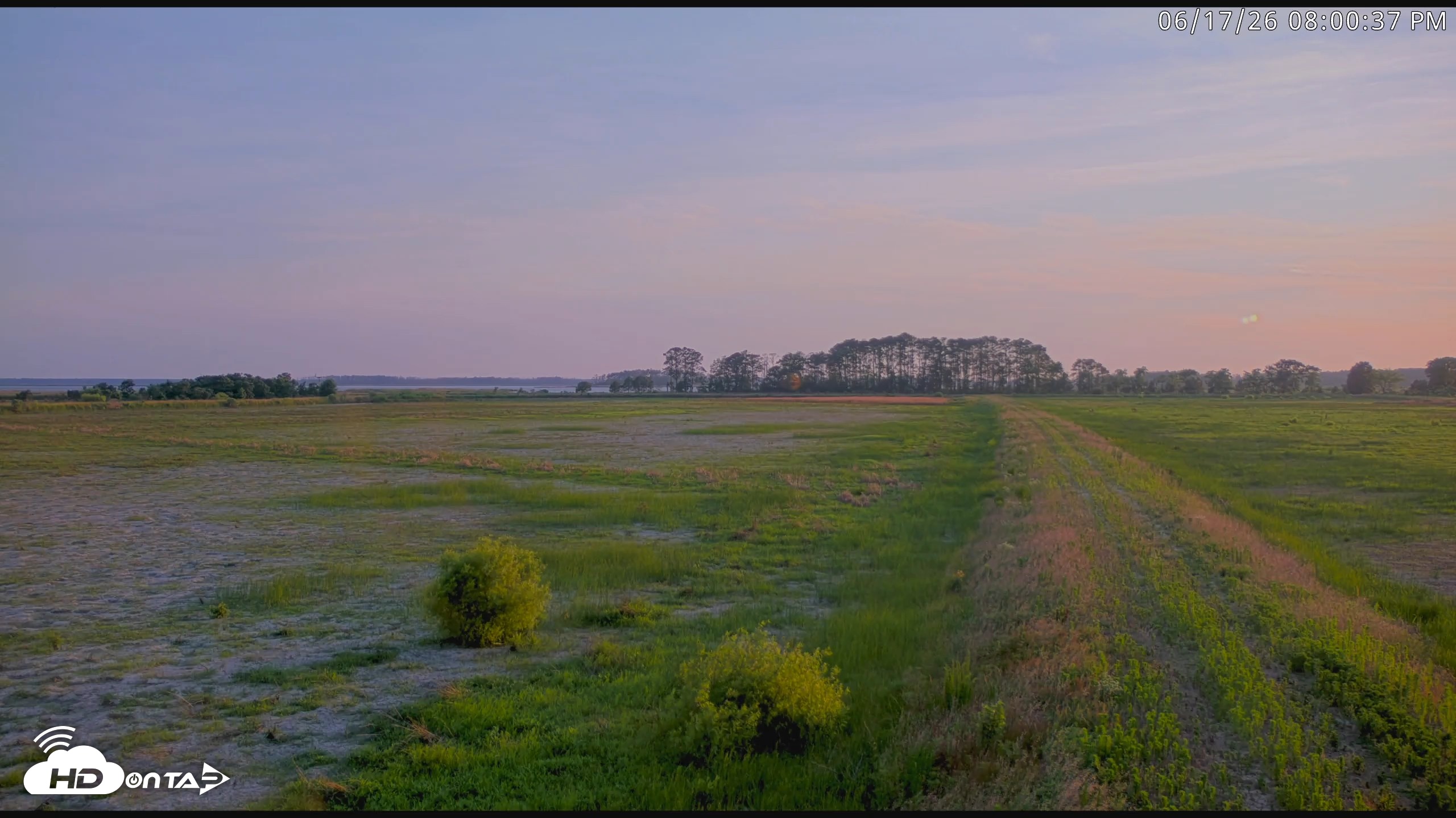 Snapshot of Blackwater Wildlife Refuge Waterfowl Live Webcam taken Jun 17, 2026, 8:01pm EDT